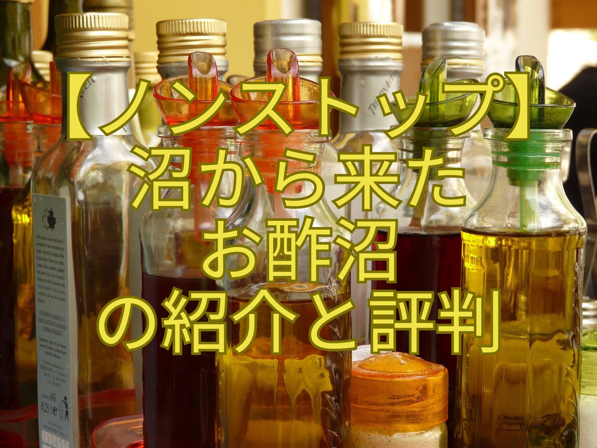 【ノンストップ】-沼から来た-お酢沼-の紹介と評判