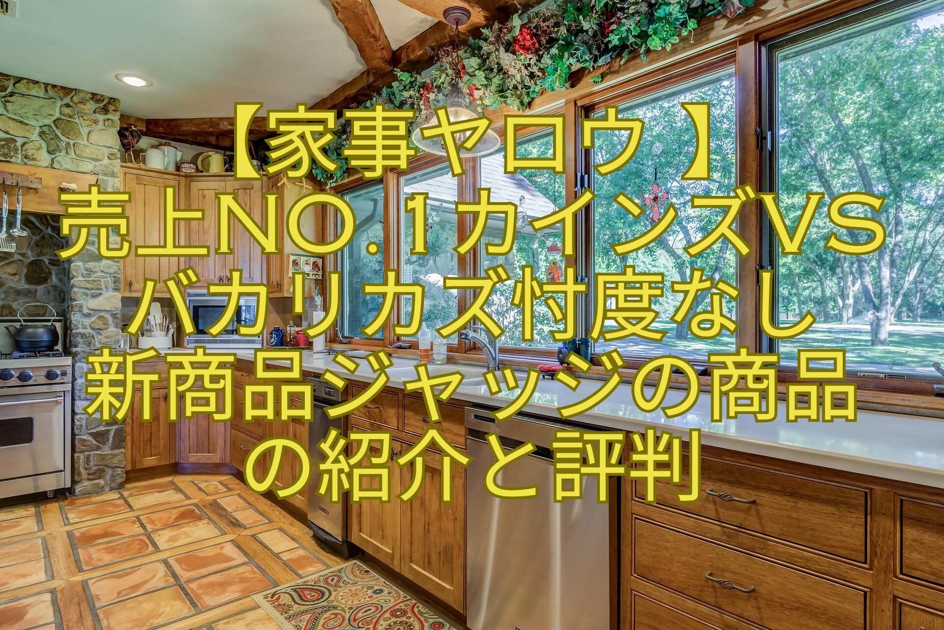 【家事ヤロウ-】-売上No.1カインズvs-バカリカズ忖度なし-新商品ジャッジの商品-の紹介と評判