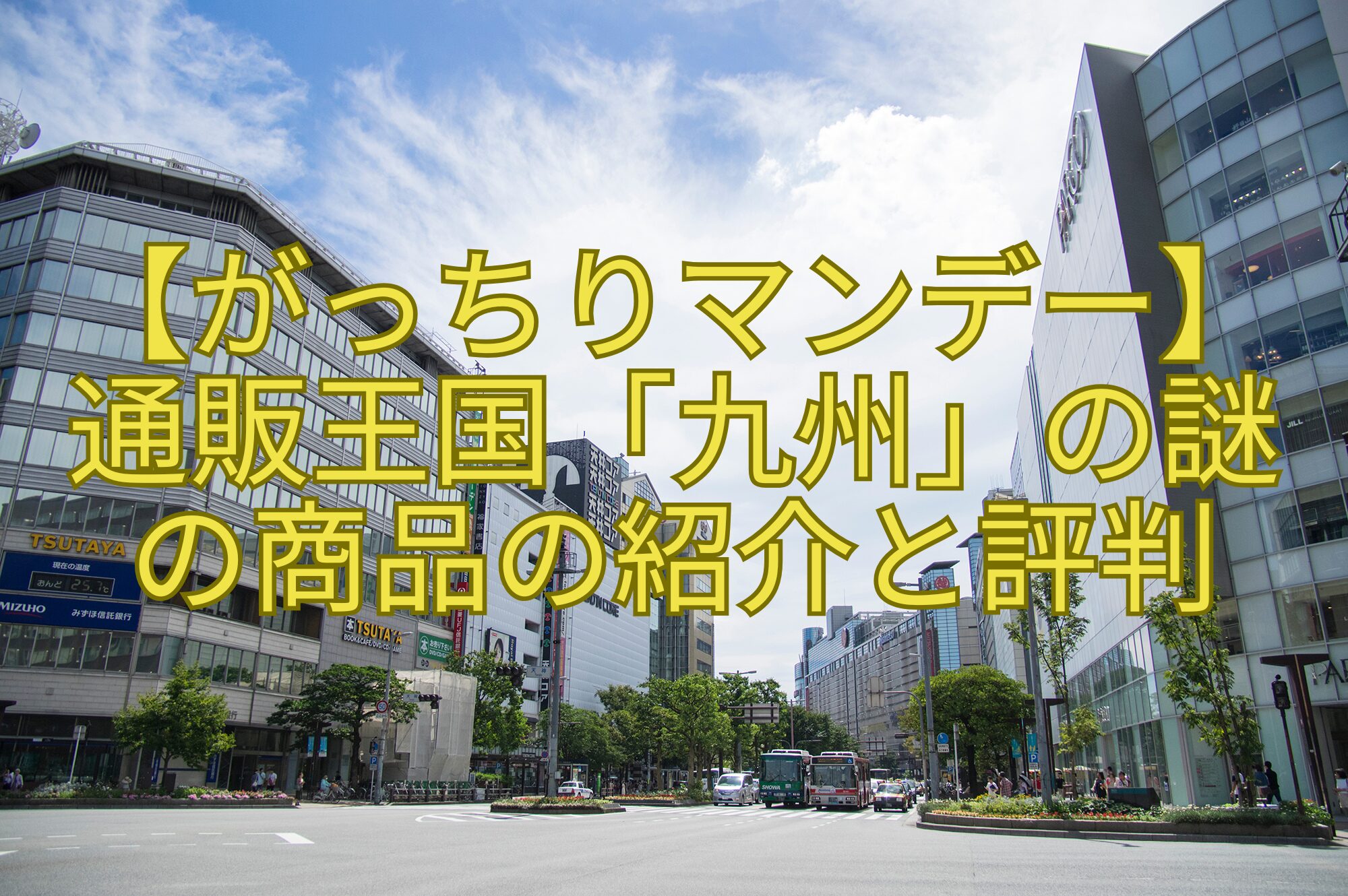 【がっちりマンデー】通販王国「九州」の謎の商品の紹介と評判