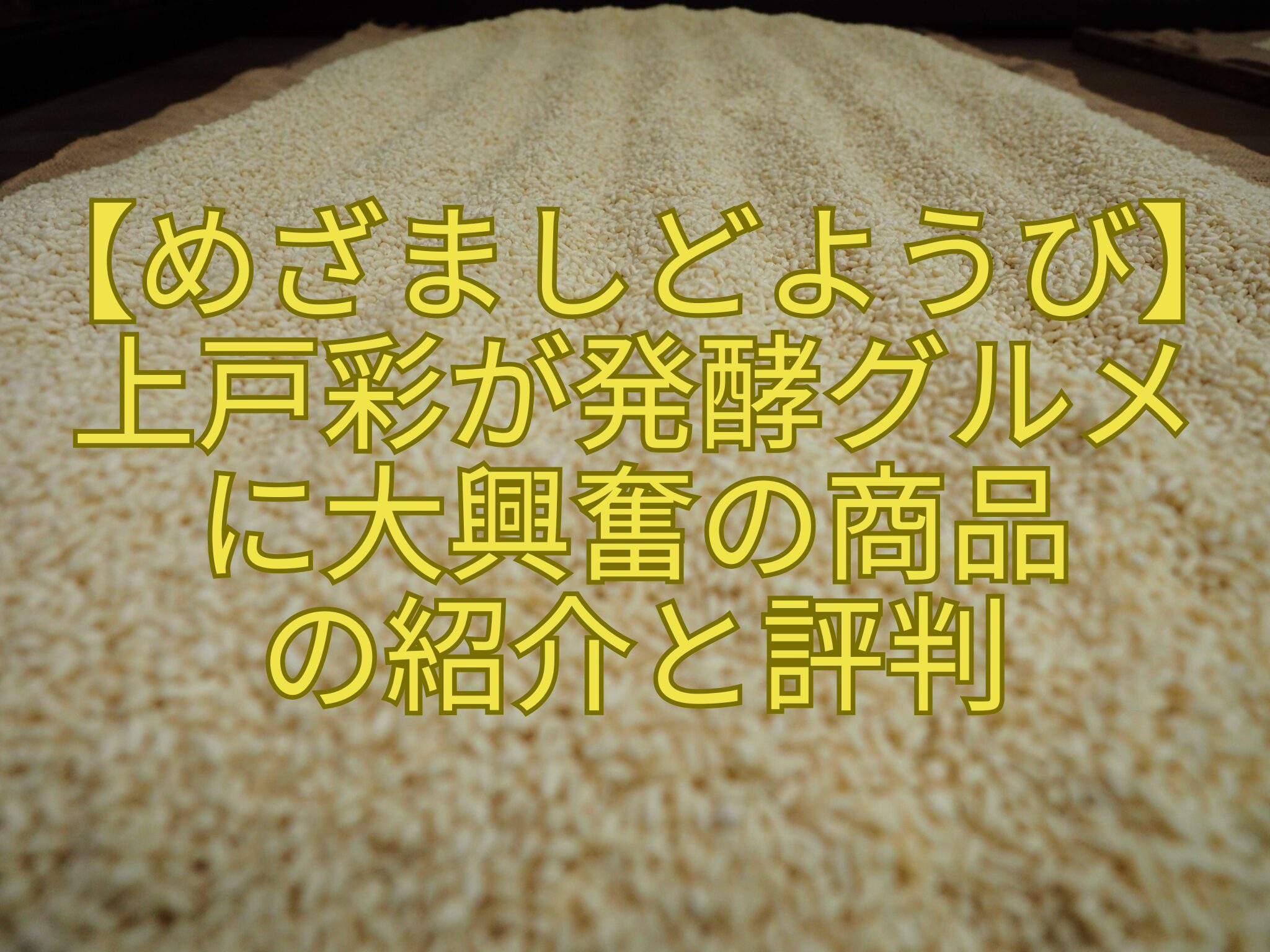 【めざましどようび】-上戸彩が発酵グルメ-に大興奮の商品-の紹介と評判