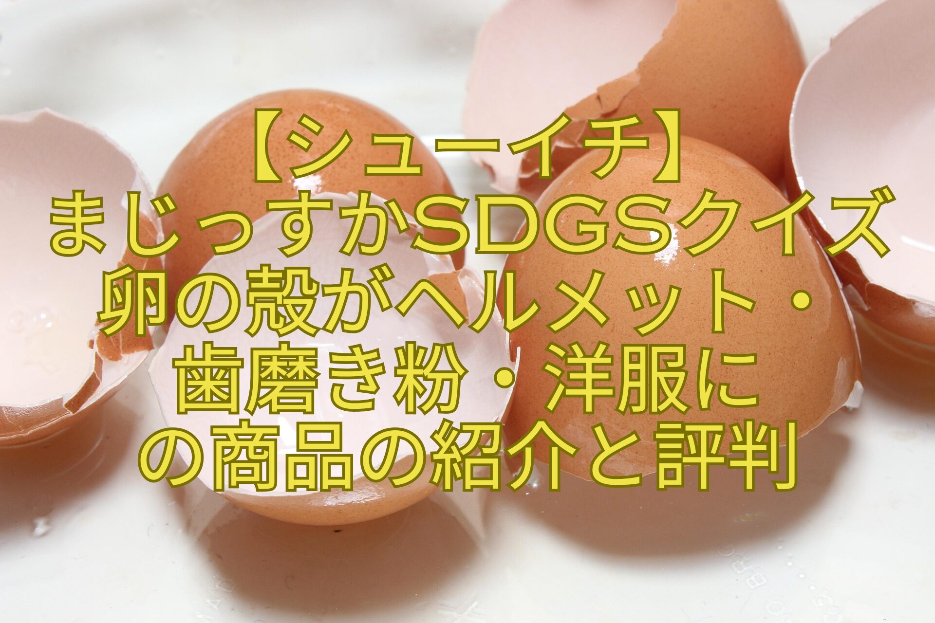 【シューイチ】-まじっすかSDGsクイズ卵の殻がヘルメット・-歯磨き粉・洋服に-の商品の紹介と評判
