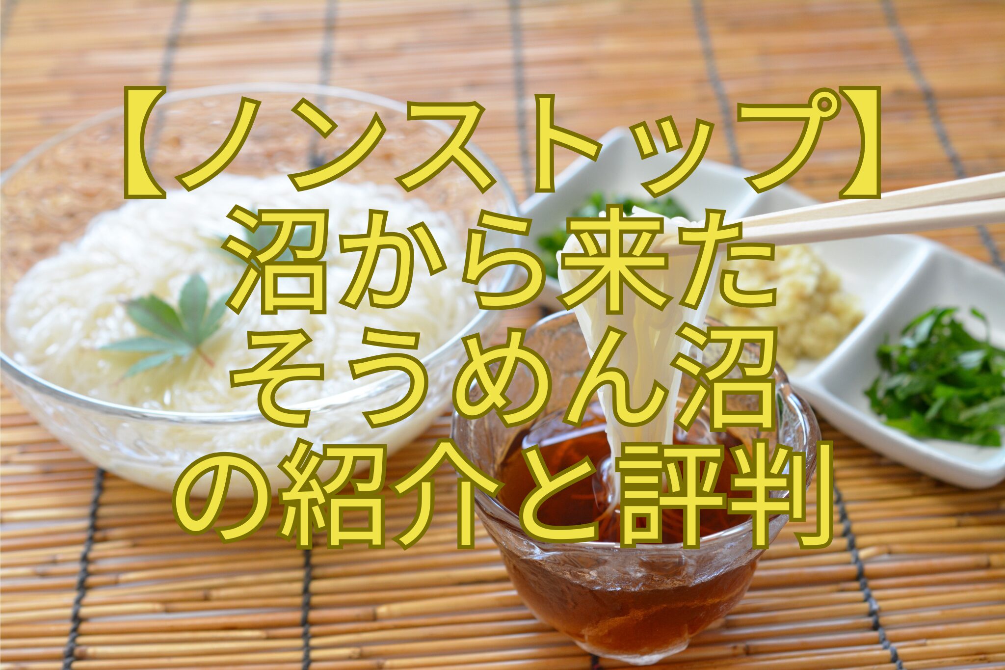 【ノンストップ】-沼から来た-そうめん沼-の紹介と評判