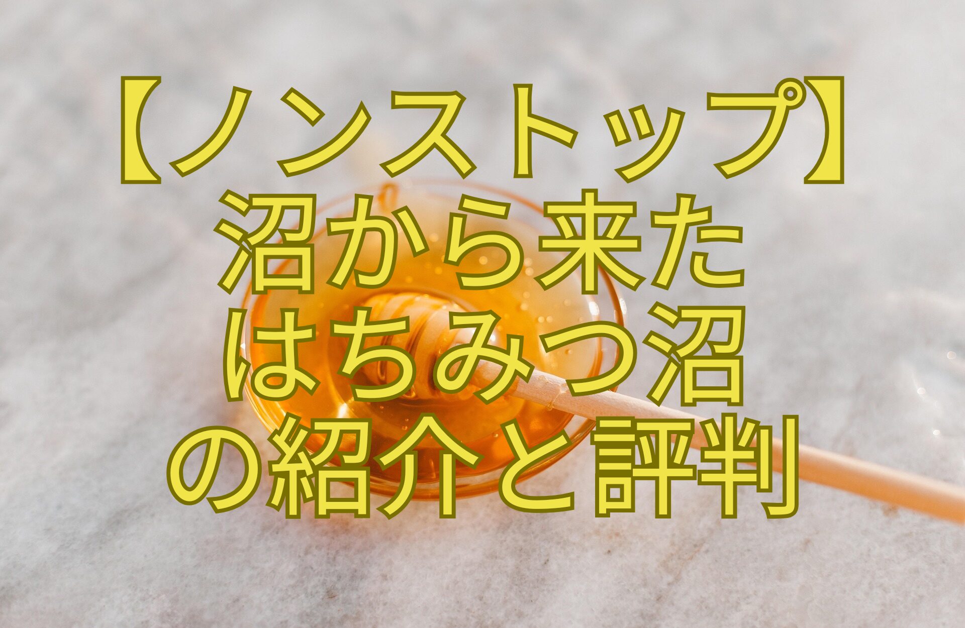 【ノンストップ】-沼から来た-はちみつ沼-の紹介と評判