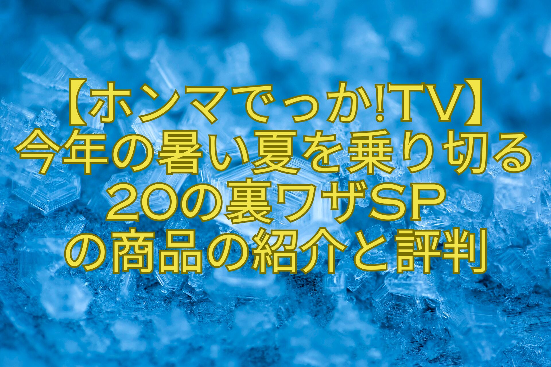【ホンマでっかTV】-今年の暑い夏を乗り切る20の裏ワザSP-の商品の紹介と評判