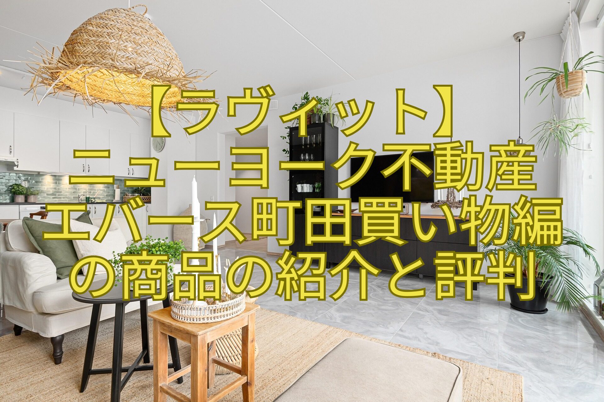 【ラヴィット】-ニューヨーク不動産-エバース町田買い物編-の商品の紹介と評判
