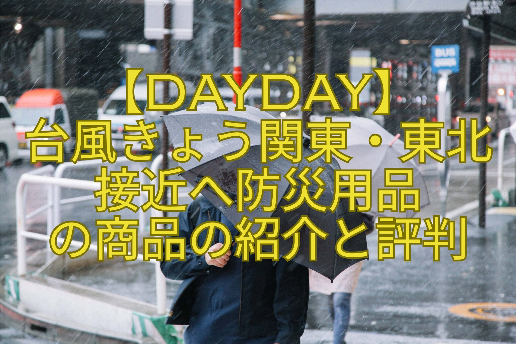 【DayDay】-台風きょう関東・東北-接近へ防災用品-の商品の紹介と評判
