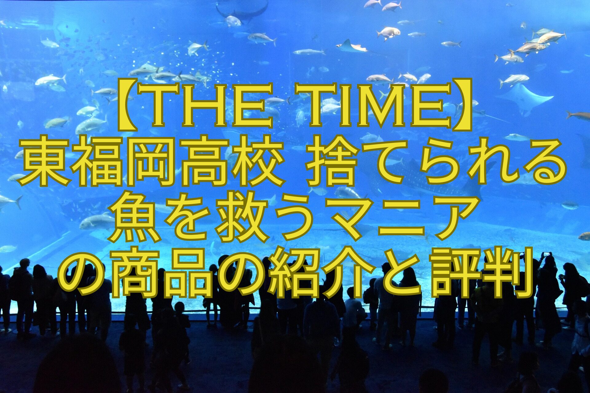 【THE-TIME】-東福岡高校-捨てられる魚を救うマニア-の商品の紹介と評判