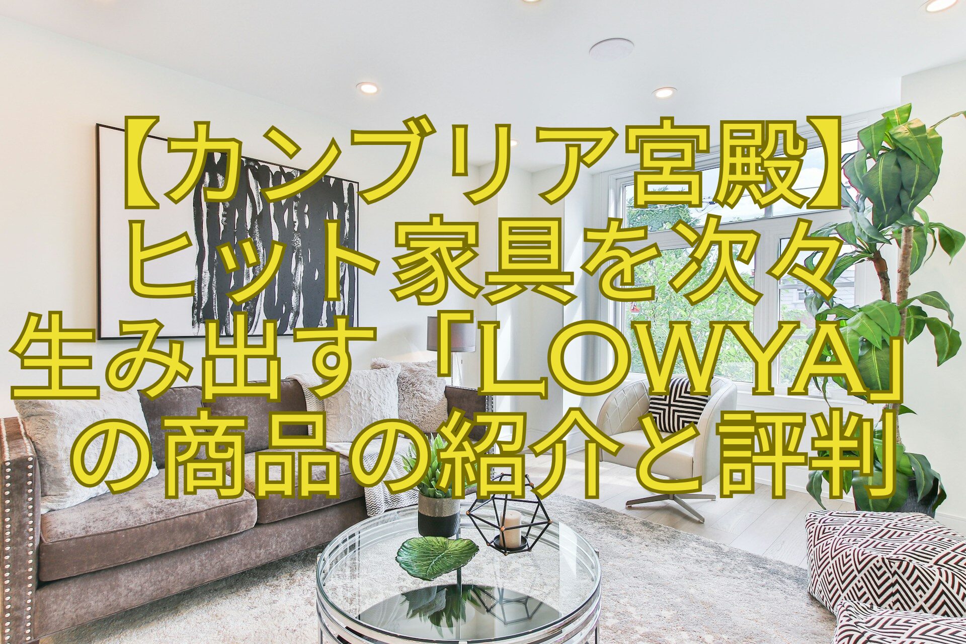 【カンブリア宮殿】-ヒット家具を次々-生み出す「LOWYA」-の商品の紹介と評判