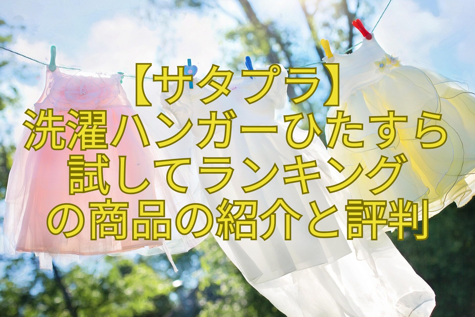 【サタプラ】-洗濯ハンガーひたすら-試してランキング-の商品の紹介と評判