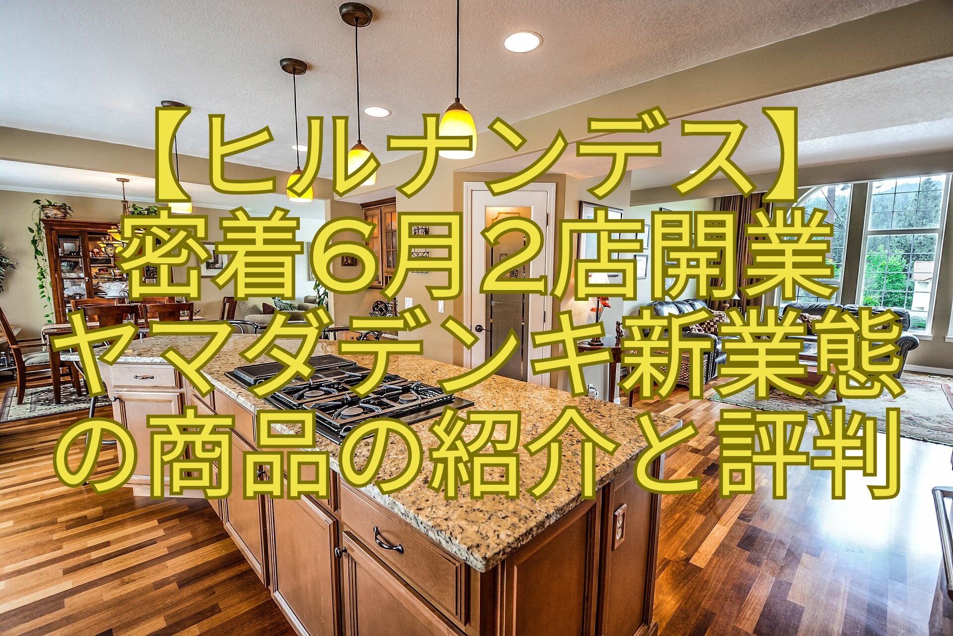 【ヒルナンデス】-密着6月2店開業-ヤマダデンキ新業態-の商品の紹介と評判