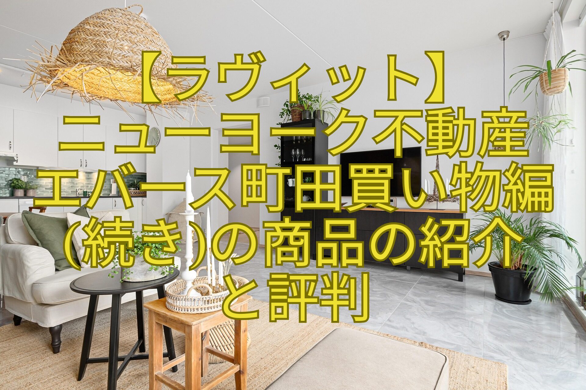 【ラヴィット】-ニューヨーク不動産-エバース町田買い物編続きの商品の紹介-と評判