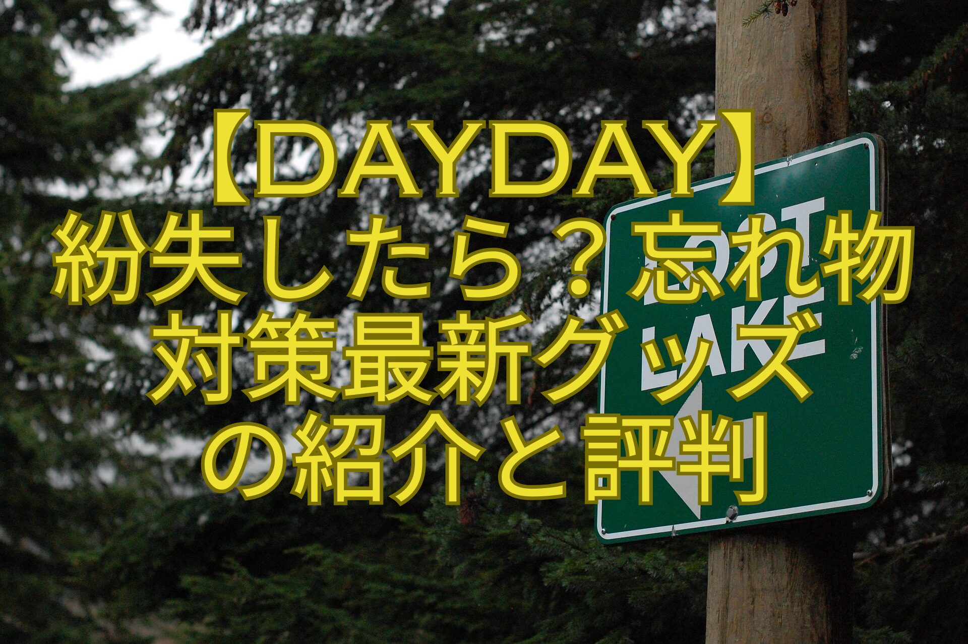 【DayDay】-紛失したら？忘れ物-対策最新グッズ-の紹介と評判