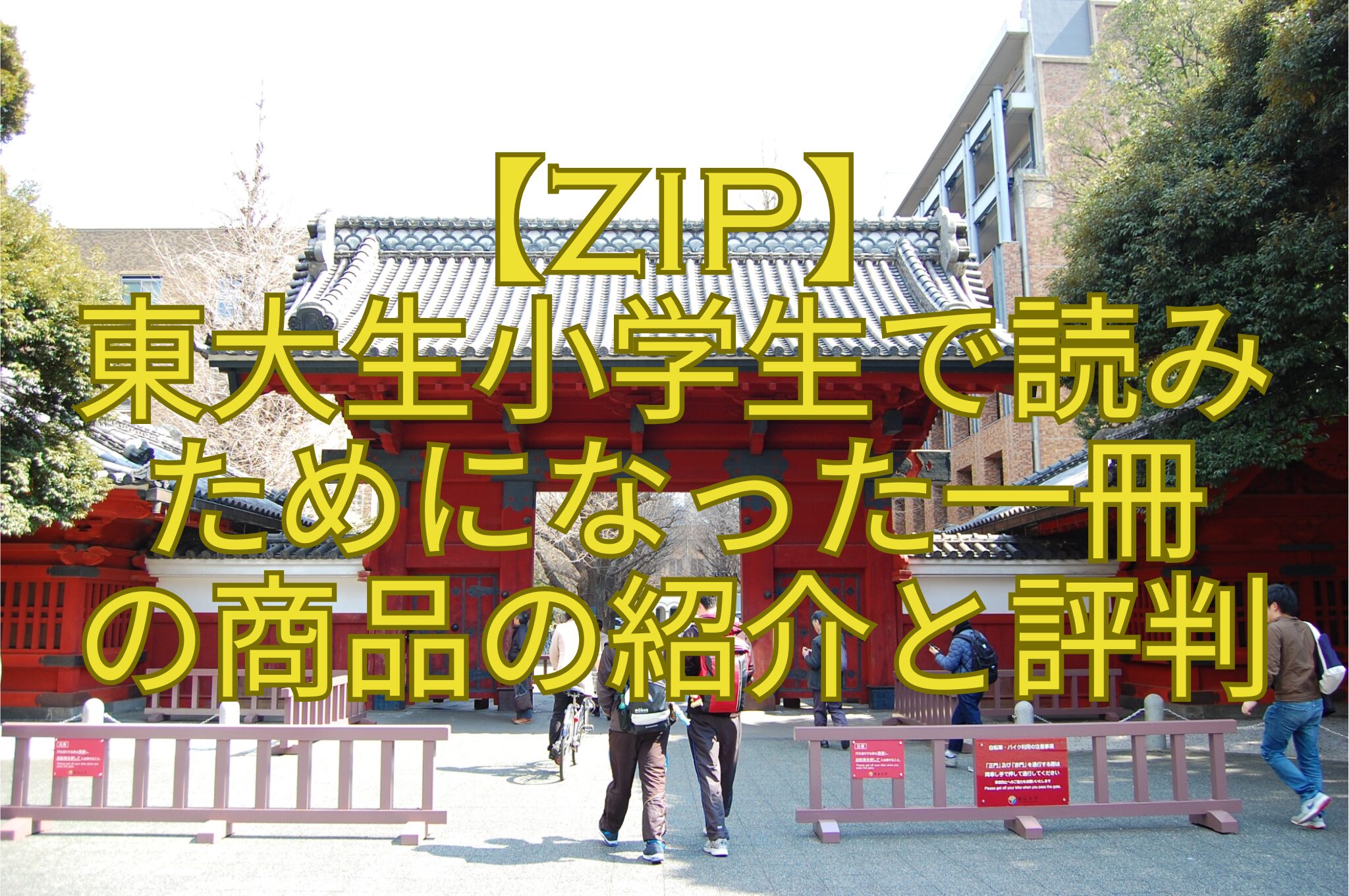 【ZIP】東大生小学生で読みためになった一冊の商品の紹介と評判