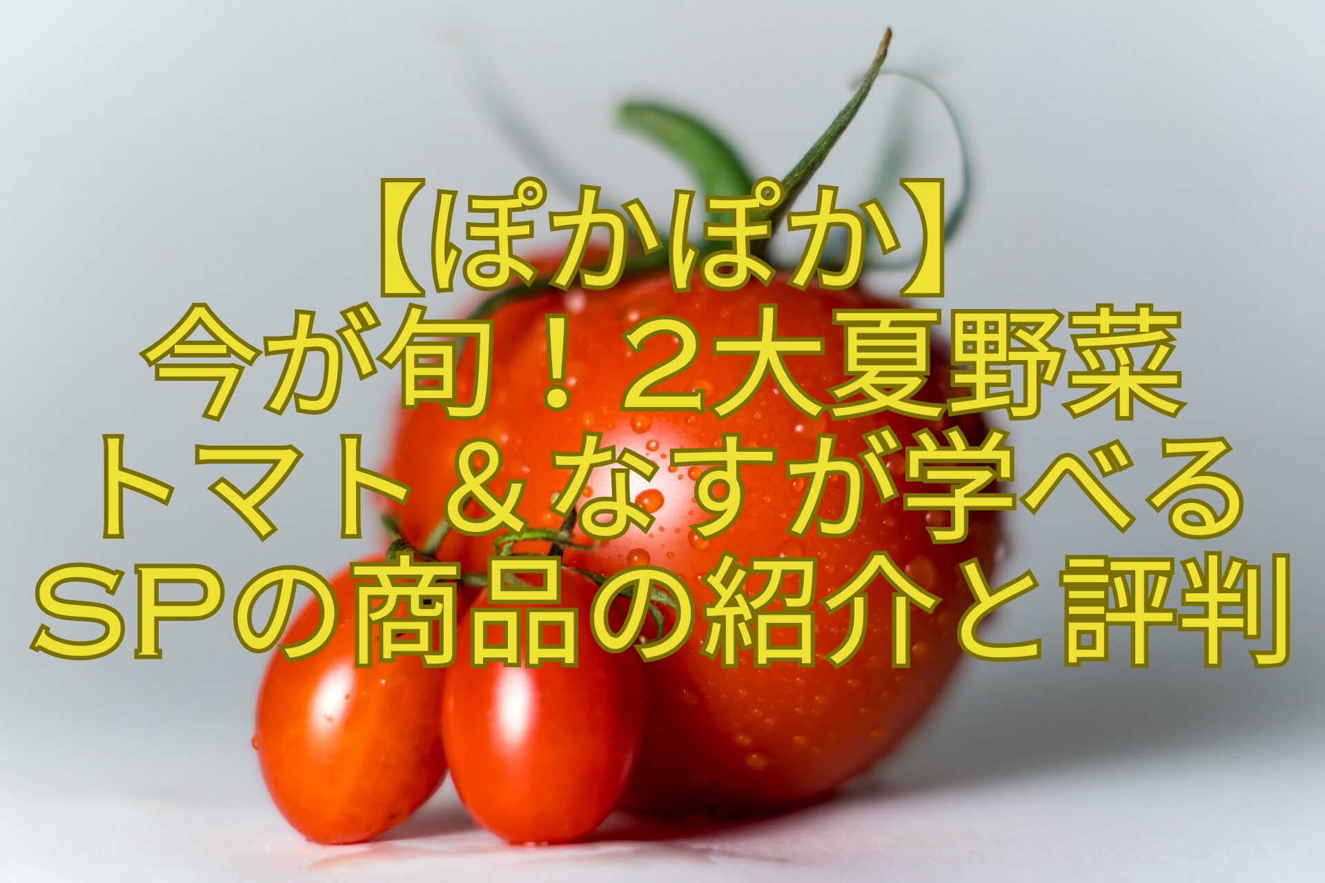【ぽかぽか】-今が旬！2大夏野菜-トマト＆なすが学べるSPの商品の紹介と評判
