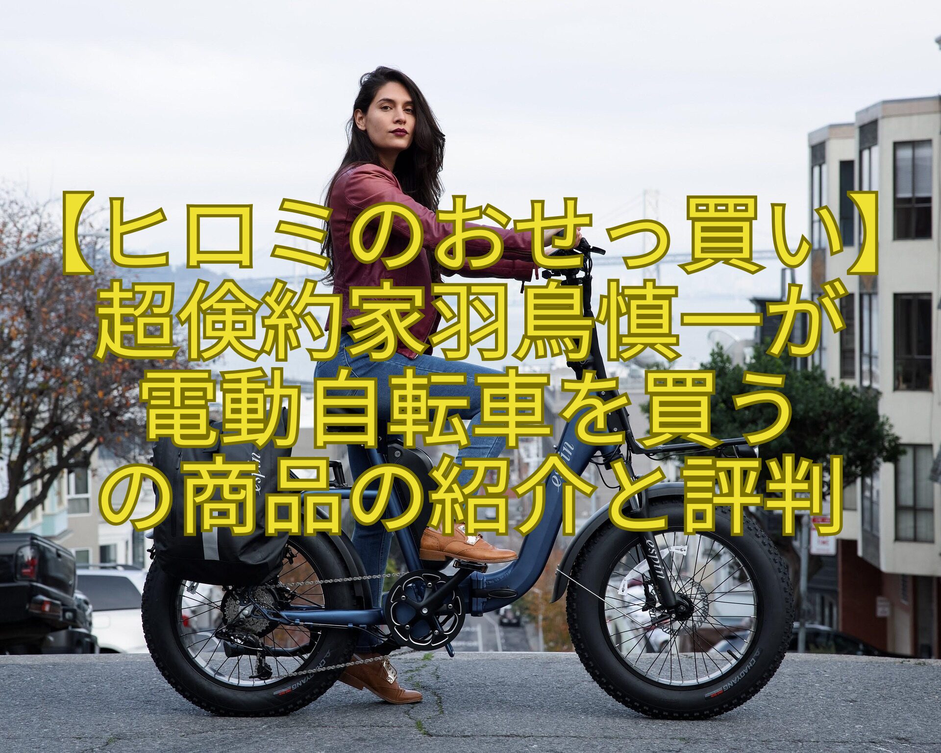【ヒロミのおせっ買い】超倹約家羽鳥慎一が-電動自転車を買う-の商品の紹介と評判