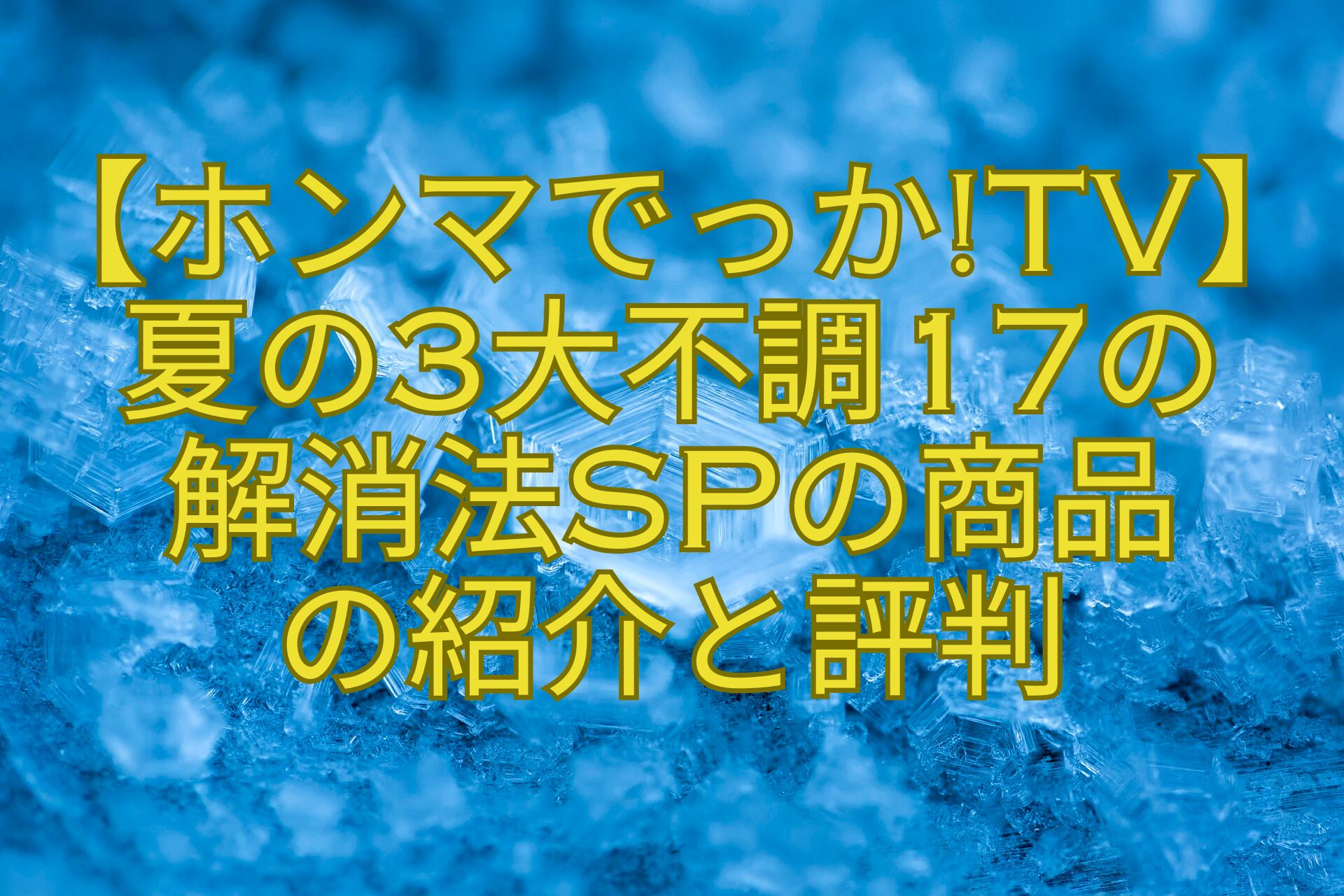 【ホンマでっかTV】夏の3大不調17の-解消法SPの商品-の紹介と評判