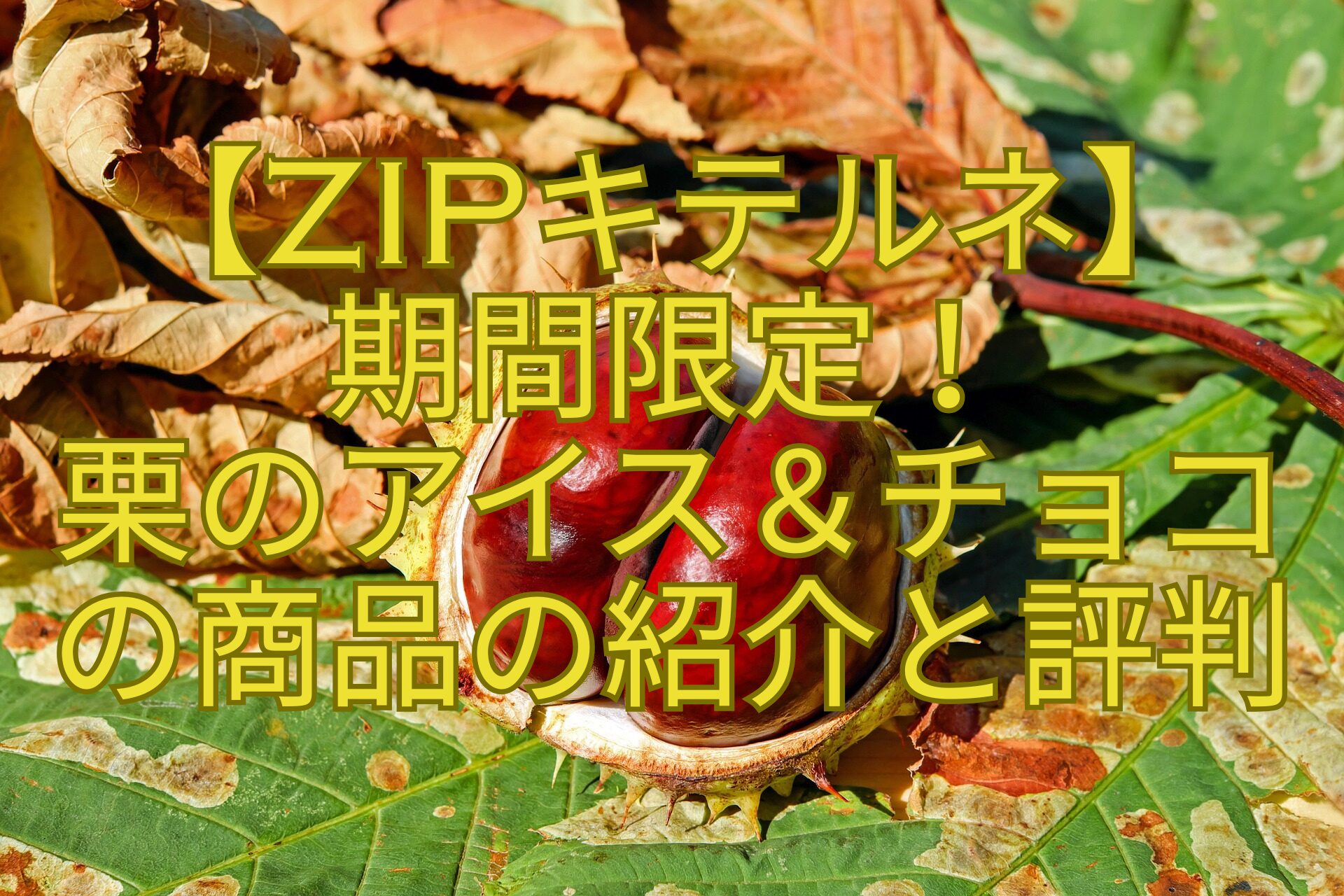 【ZIPキテルネ】-期間限定！-栗のアイス＆チョコ-の商品の紹介と評判