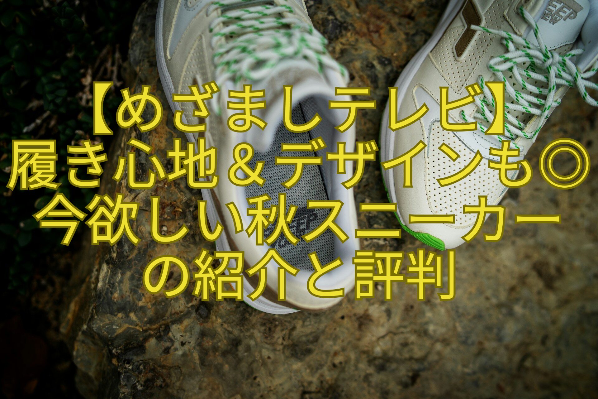 【めざましテレビ】-履き心地＆デザインも◎今欲しい秋スニーカー-の紹介と評判
