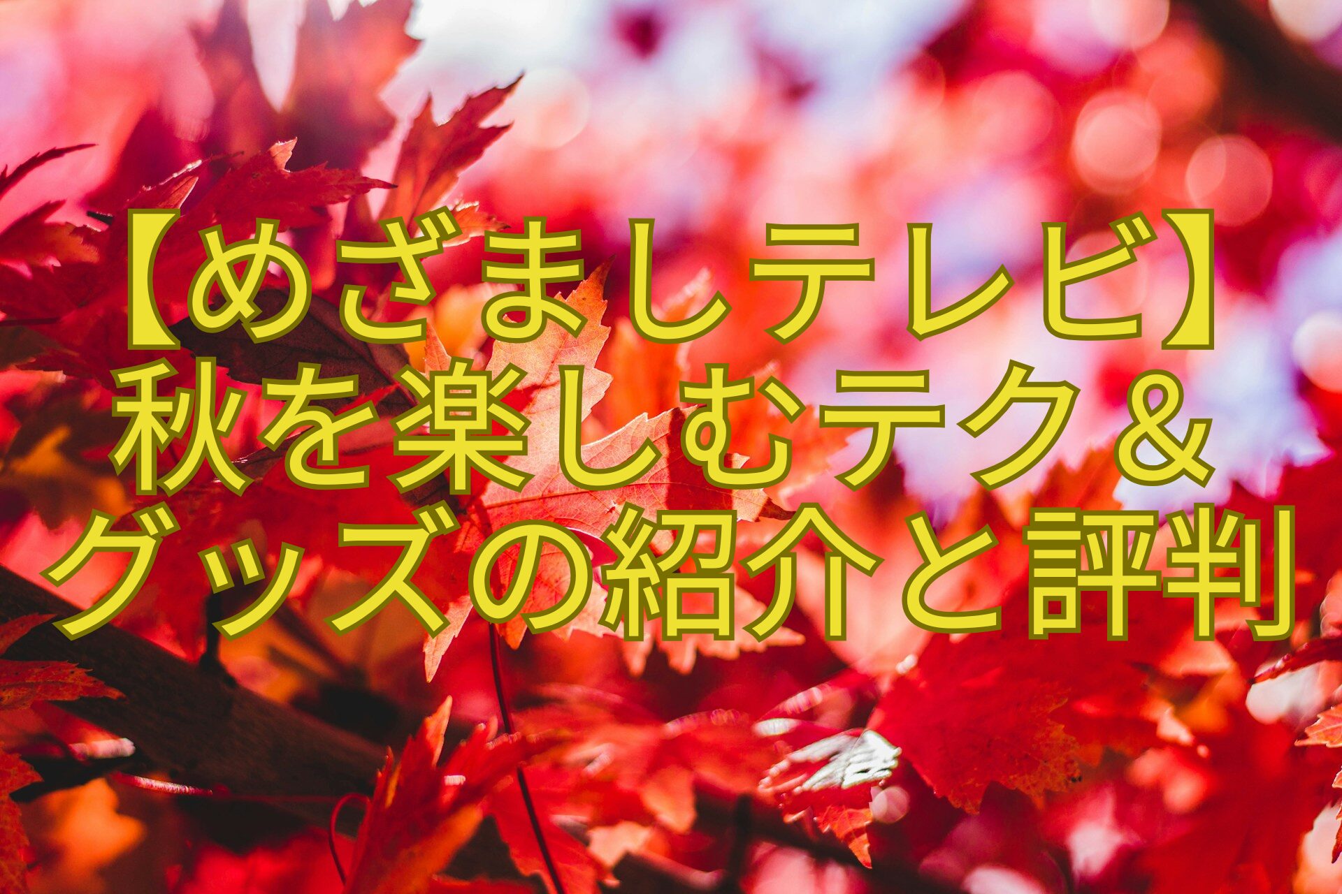 【めざましテレビ】-秋を楽しむテク＆-グッズの紹介と評判