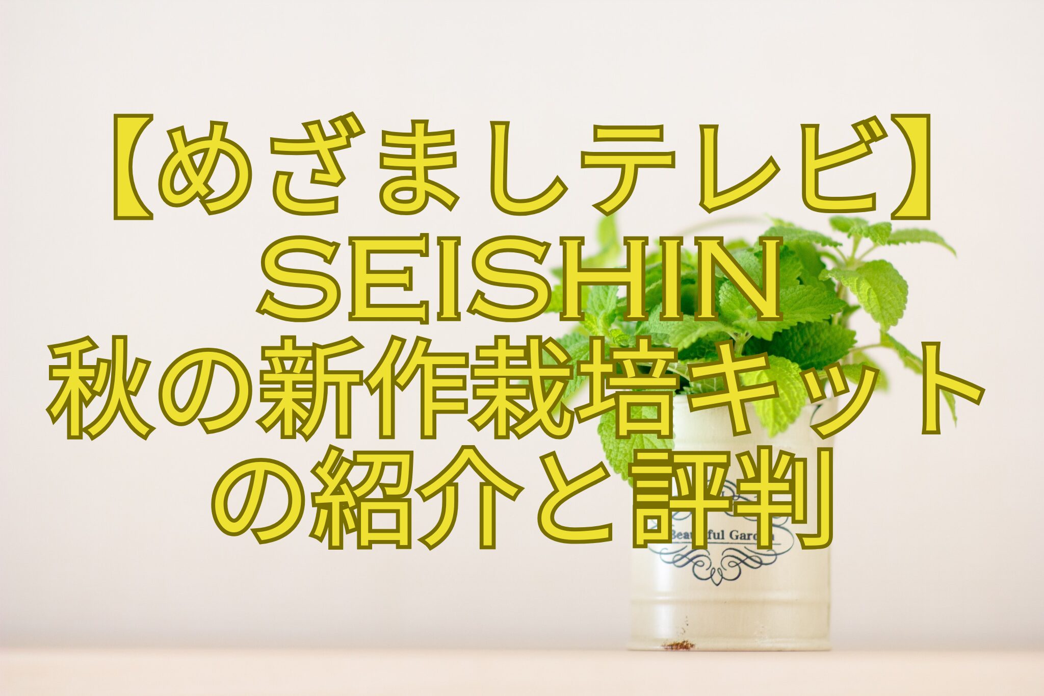 【めざましテレビ】SEISHIN-秋の新作栽培キット-の紹介と評判