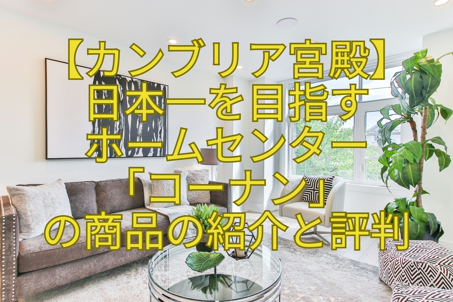 【カンブリア宮殿】-日本一を目指す-ホームセンター-「コーナン」-の商品の紹介と評判