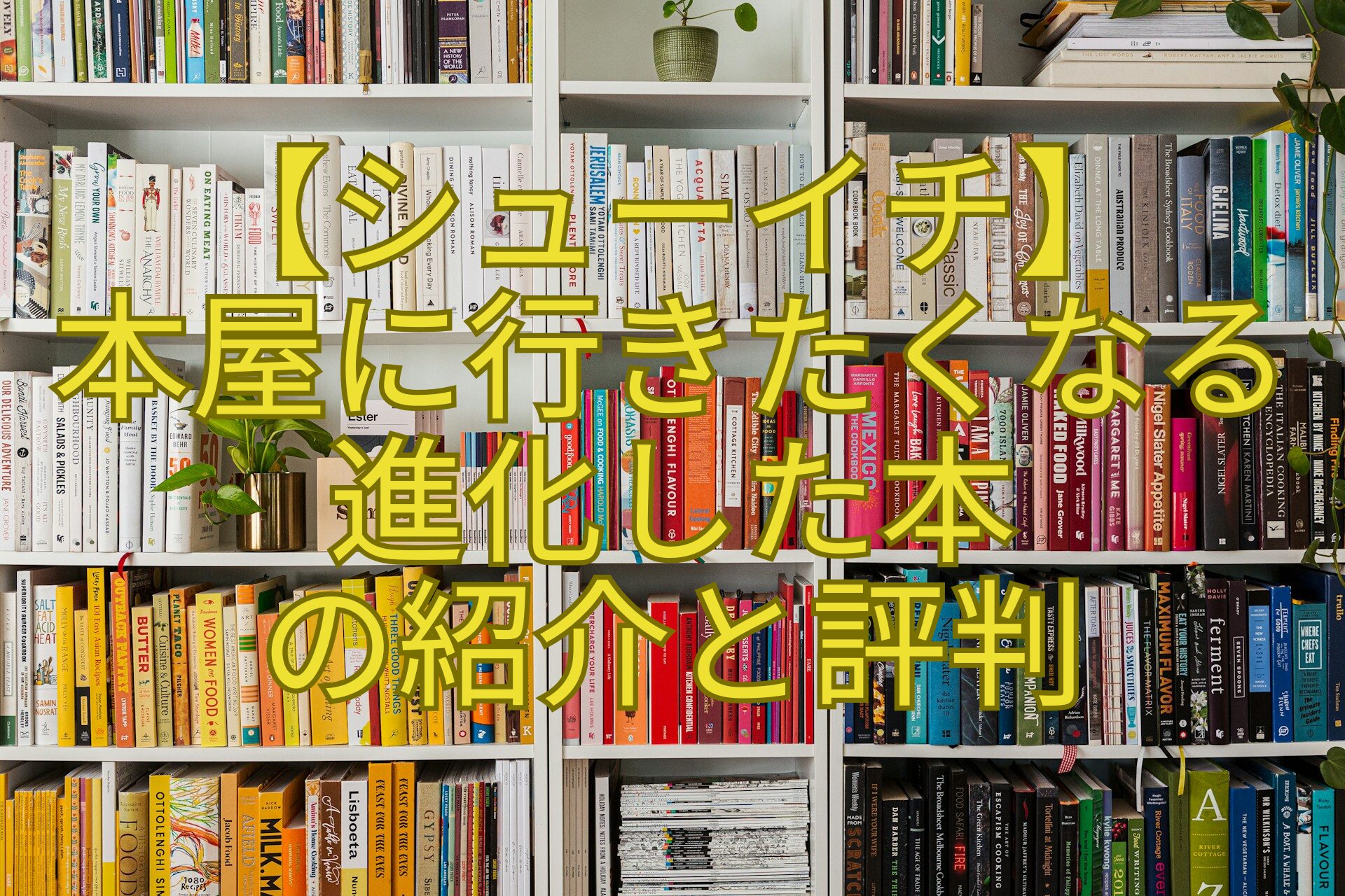 【シューイチ】-本屋に行きたくなる-進化した本-の紹介と評判