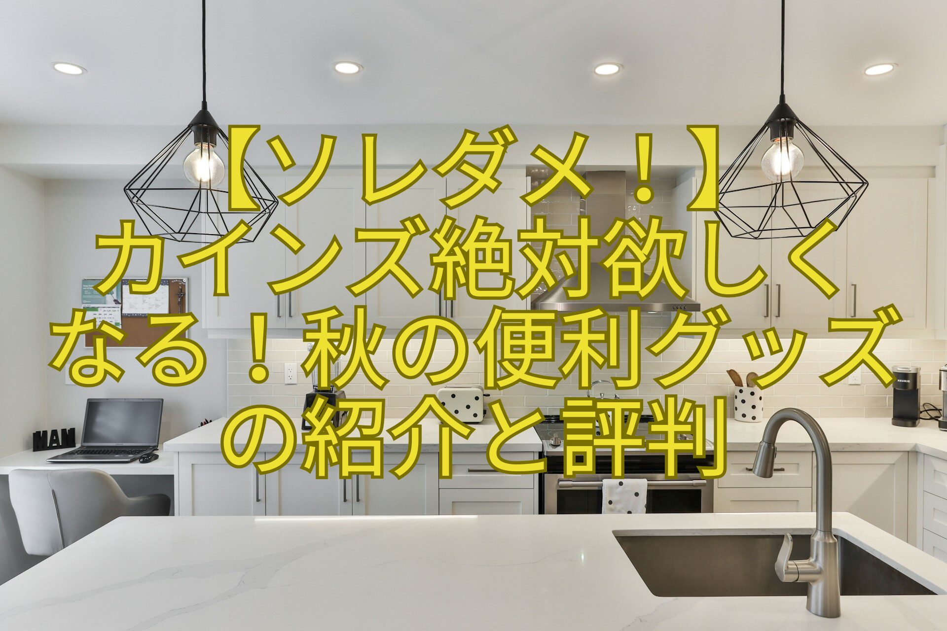 【ソレダメ！】-カインズ絶対欲しく-なる！秋の便利グッズ-の紹介と評判