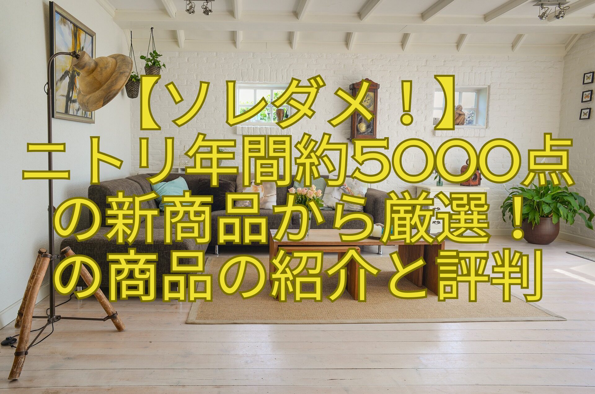 【ソレダメ！】-ニトリ年間約5000点-の新商品から厳選！-の商品の紹介と評判