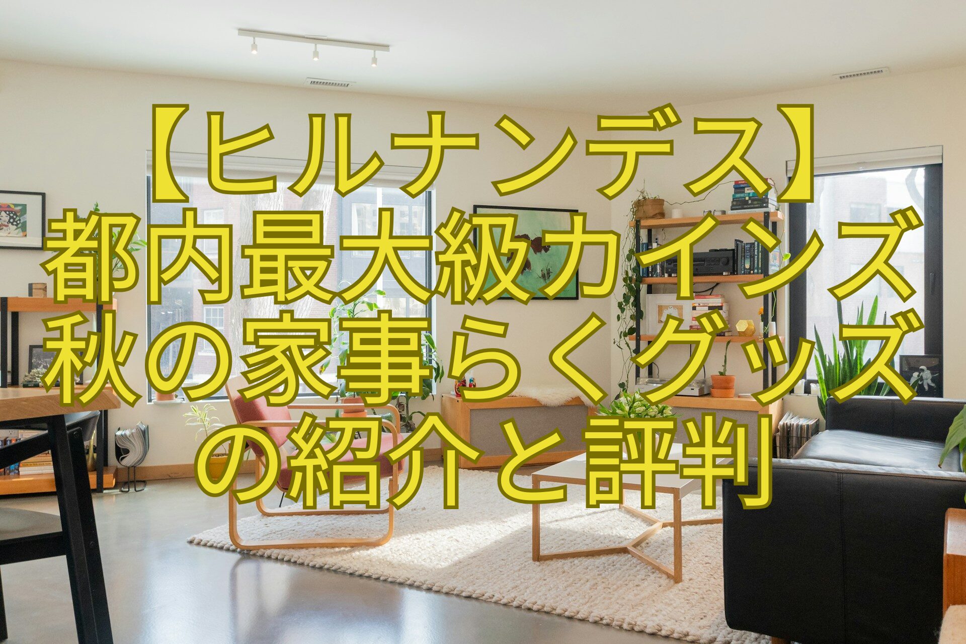 【ヒルナンデス】-都内最大級カインズ-秋の家事らくグッズ-の紹介と評判