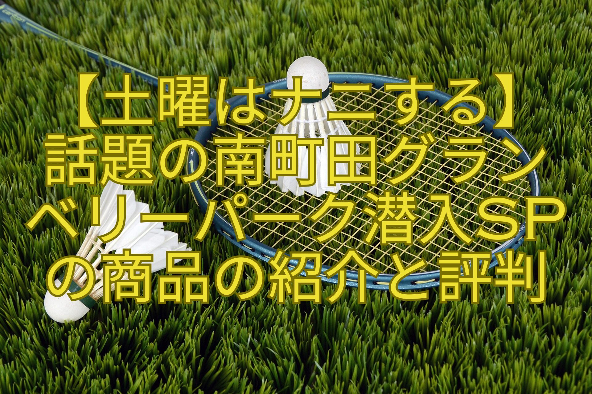 【土曜はナニする】-話題の南町田グラン-ベリーパーク潜入SPの商品の紹介と評判