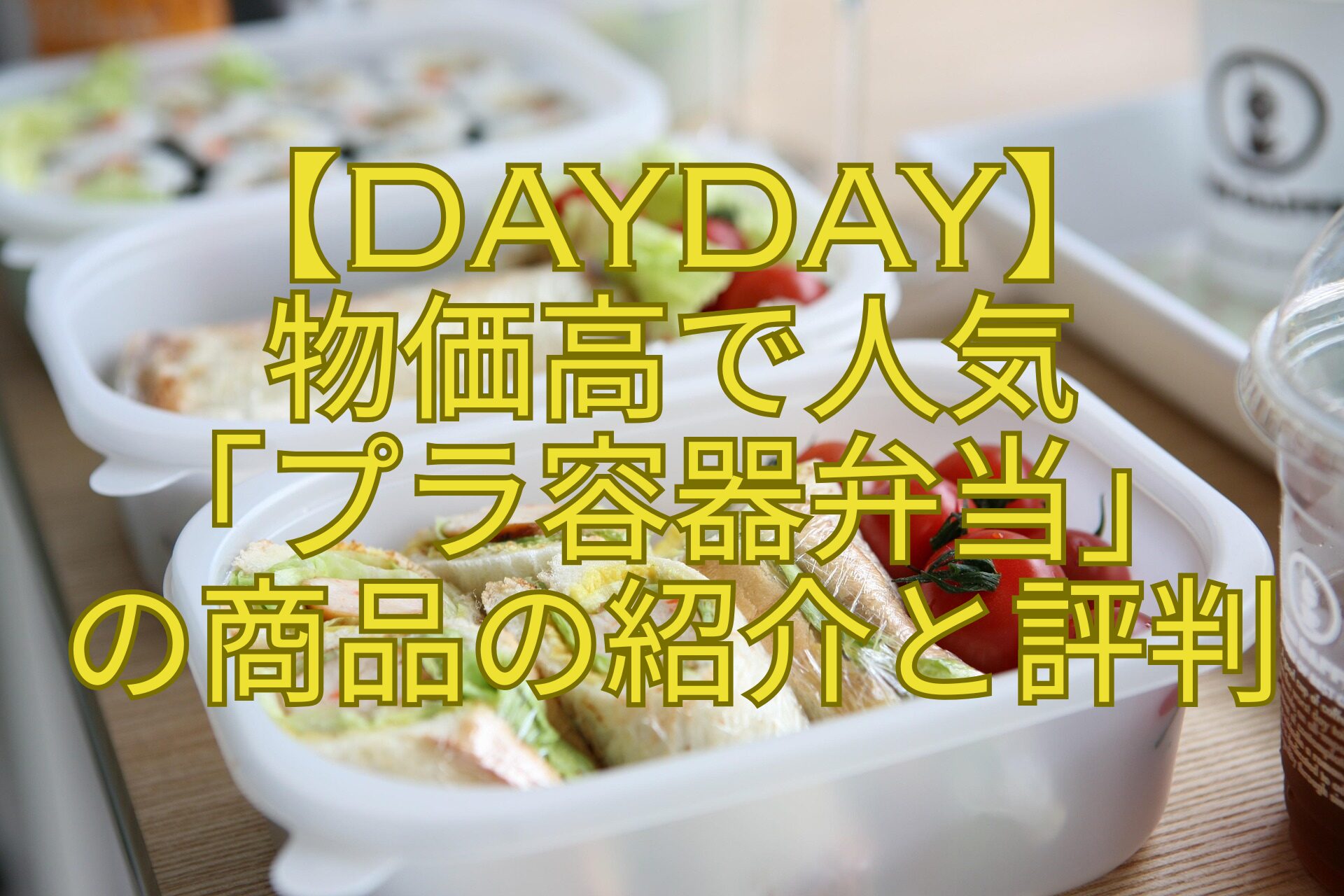 【DayDay】-物価高で人気-「プラ容器弁当」-の商品の紹介と評判