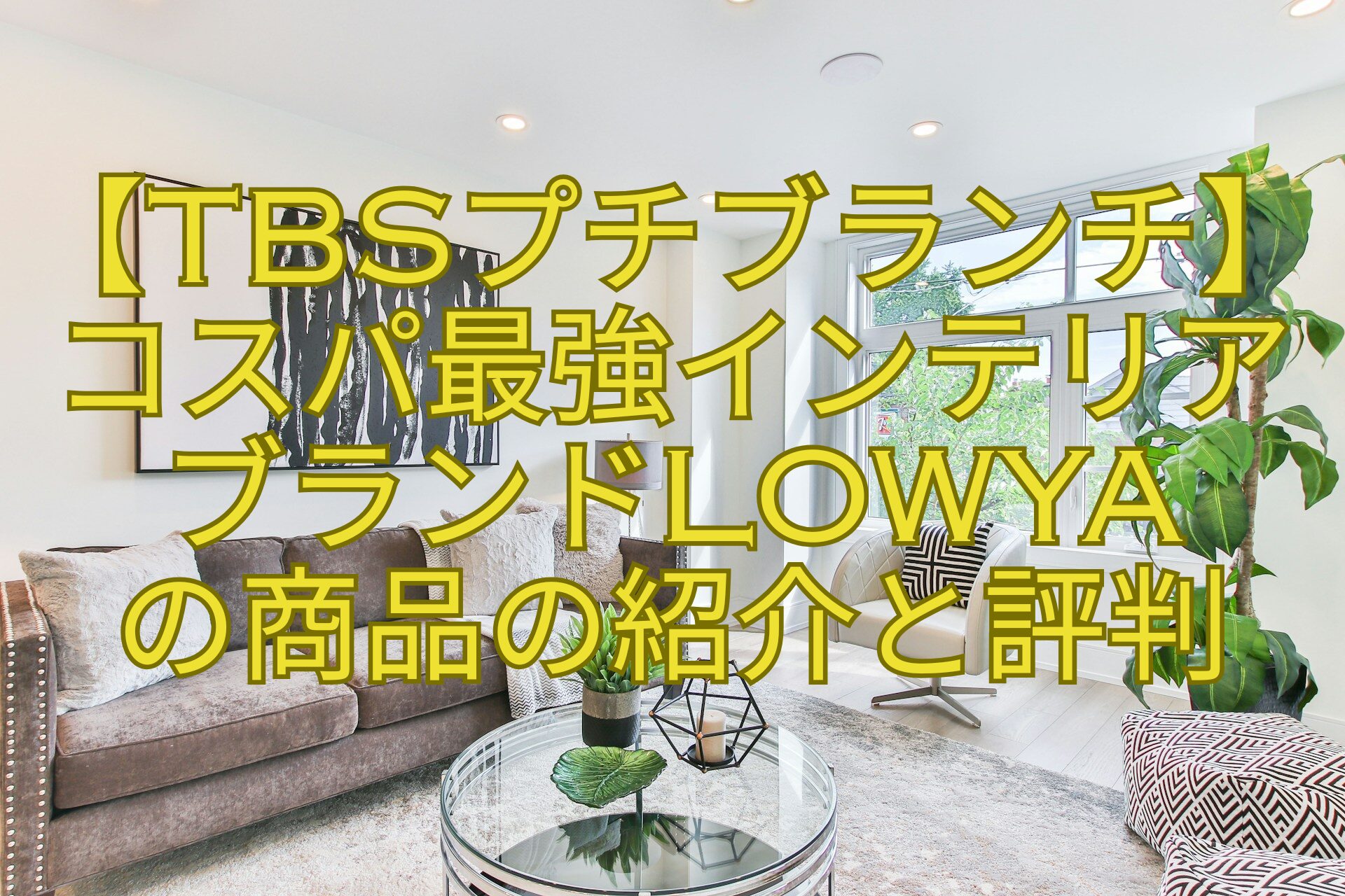【TBSプチブランチ】-コスパ最強インテリア-ブランドLOWYA-の商品の紹介と評判