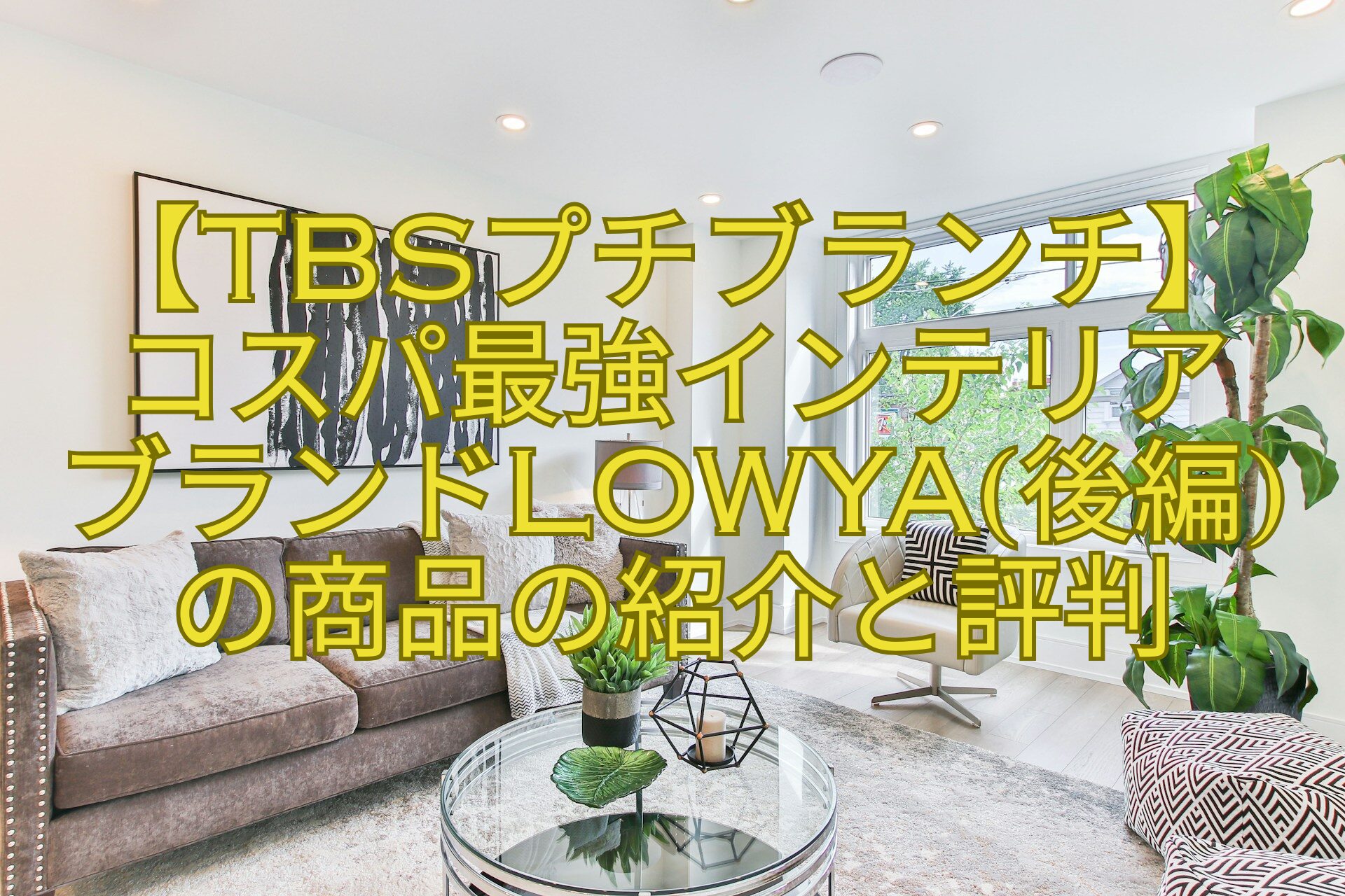 【TBSプチブランチ】-コスパ最強インテリア-ブランドLOWYA後編-の商品の紹介と評判