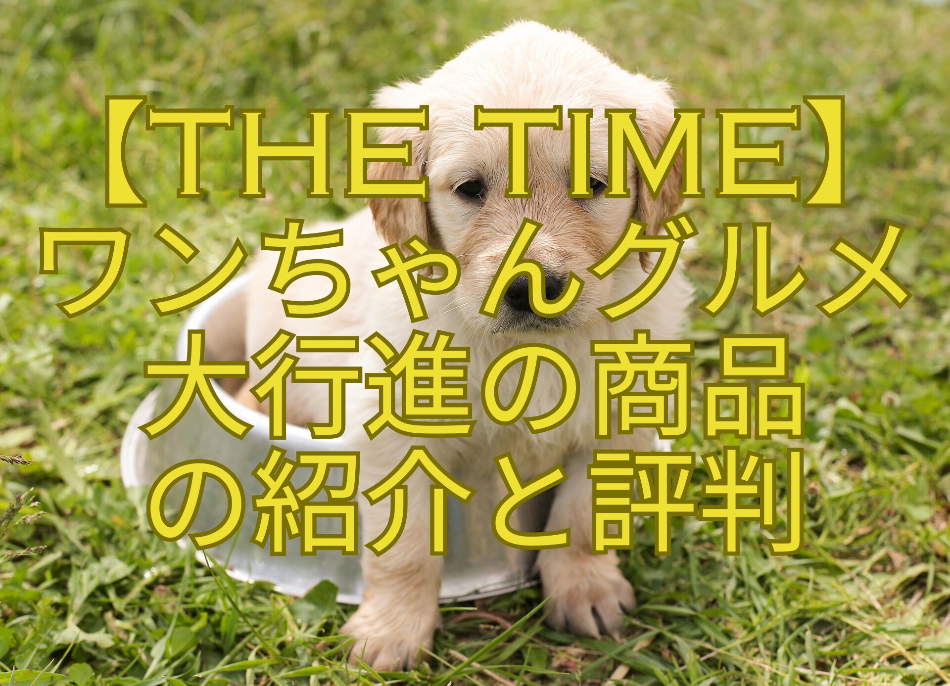 【THE-TIME】-ワンちゃんグルメ-大行進の商品-の紹介と評判