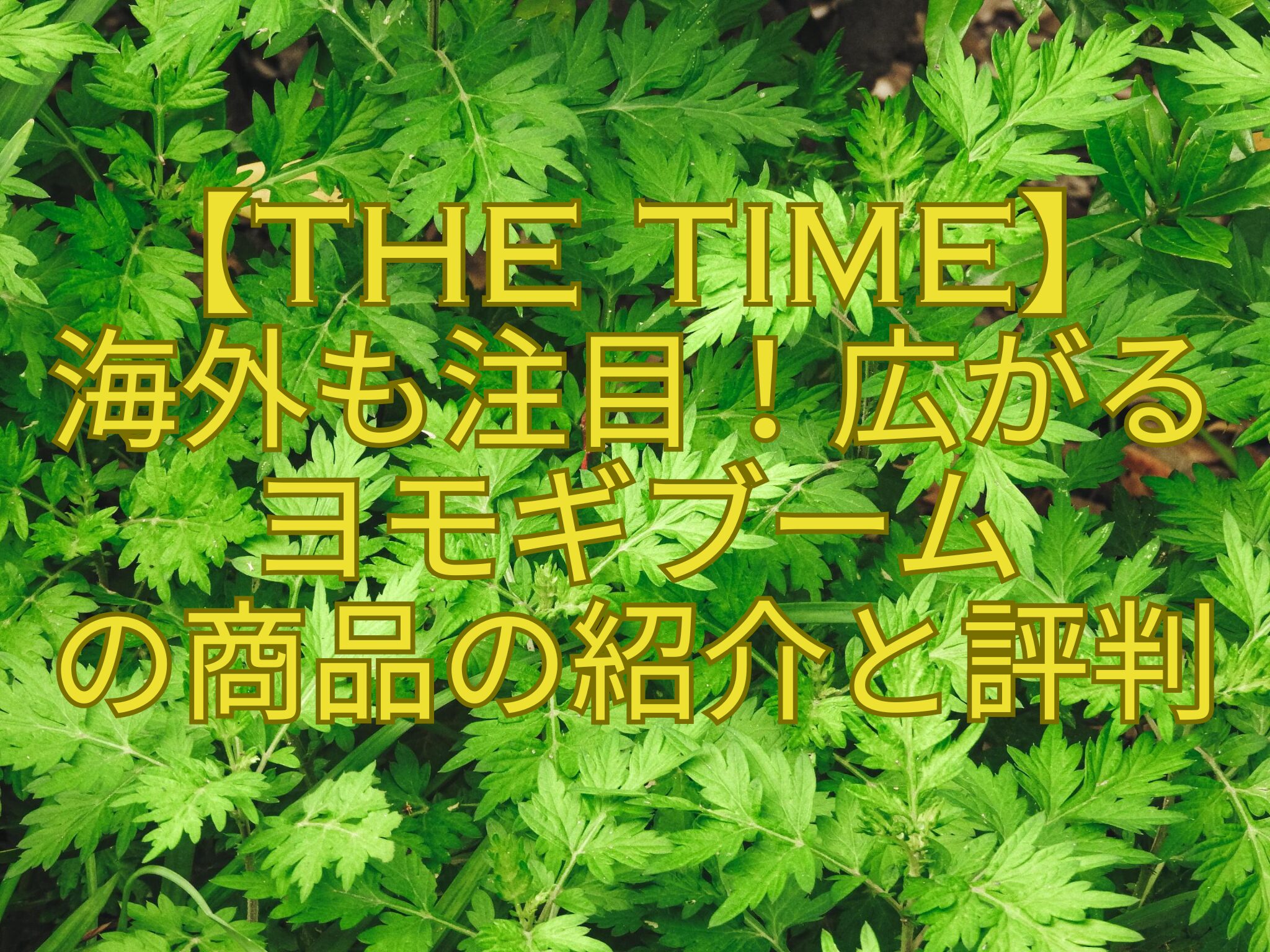 【THE-TIME】-海外も注目！広がる-ヨモギブーム-の商品の紹介と評判