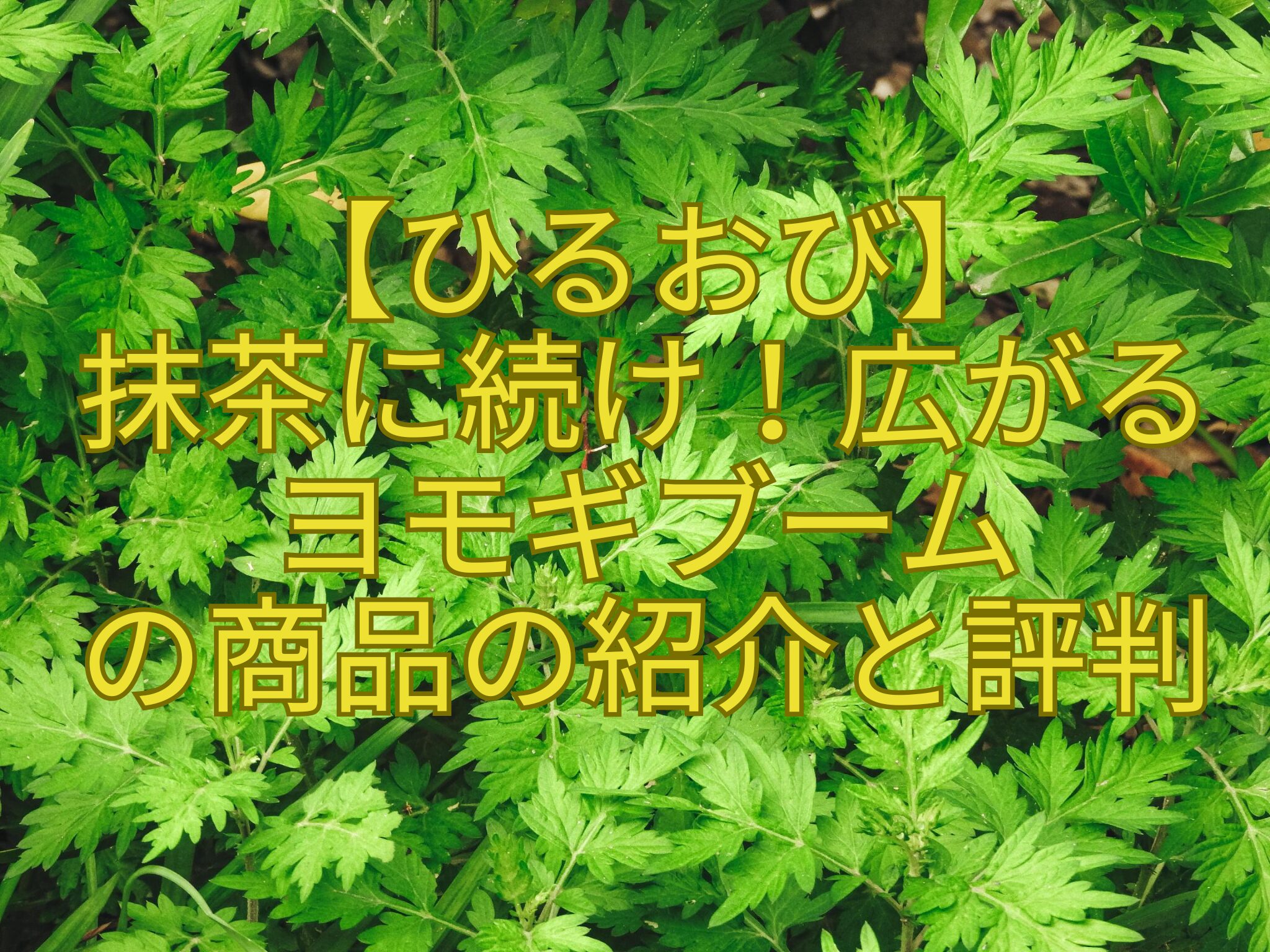 【ひるおび】抹茶に続け！広がるヨモギブームの商品の紹介と評判