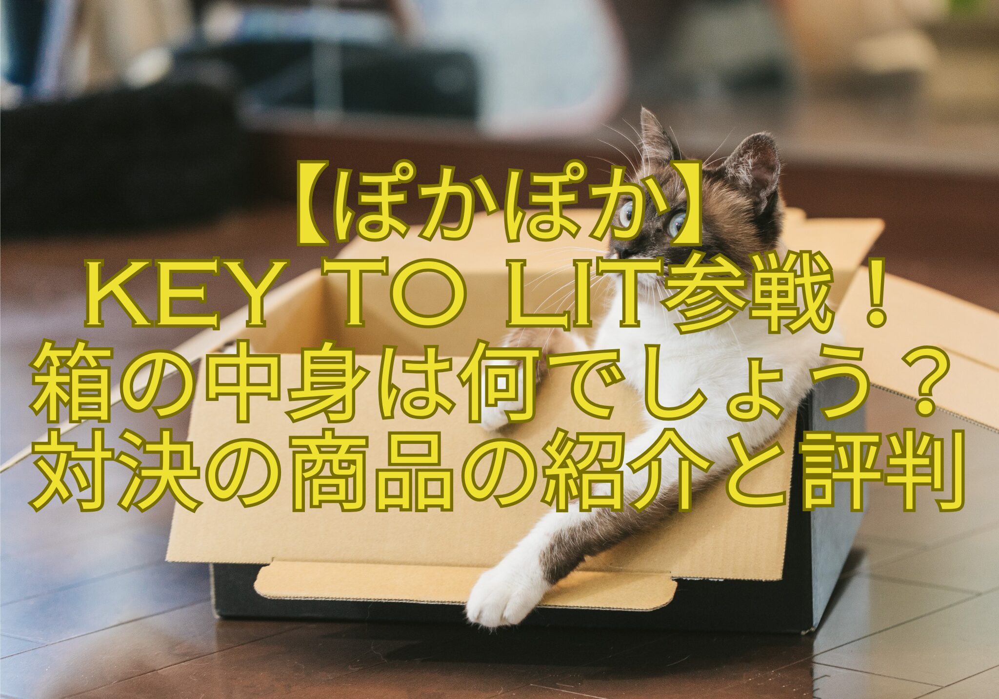 【ぽかぽか】-KEY-TO-LIT参戦！-箱の中身は何でしょう？-対決の商品の紹介と評判