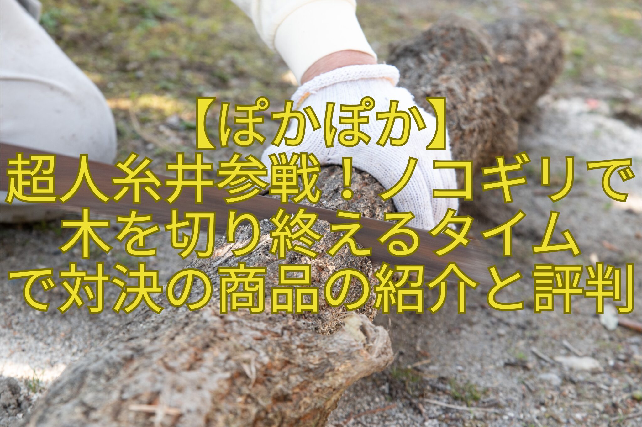 【ぽかぽか】-超人糸井参戦！ノコギリで木を切り終えるタイム-で対決の商品の紹介と評判