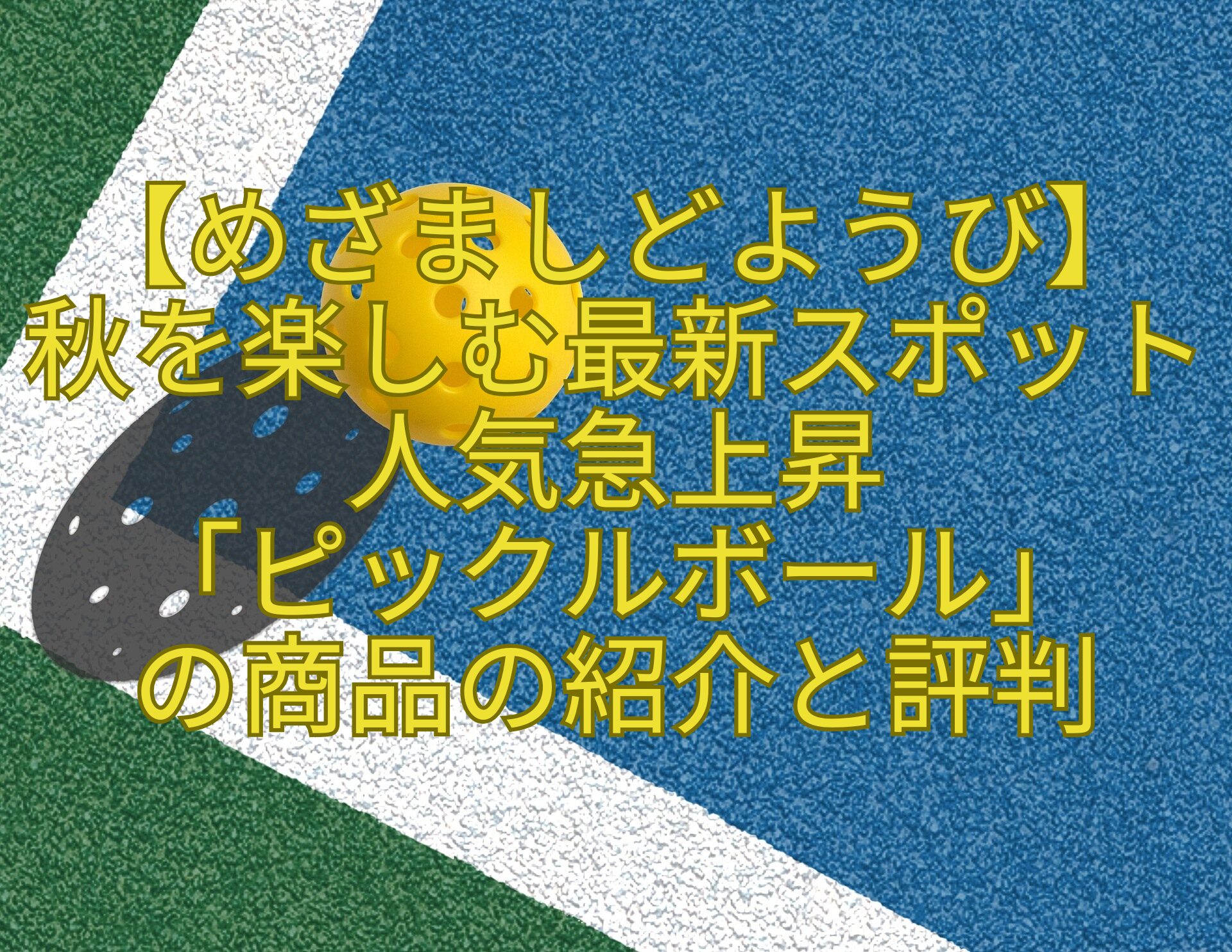 【めざましどようび】-秋を楽しむ最新スポット人気急上昇-「ピックルボール」-の商品の紹介と評判