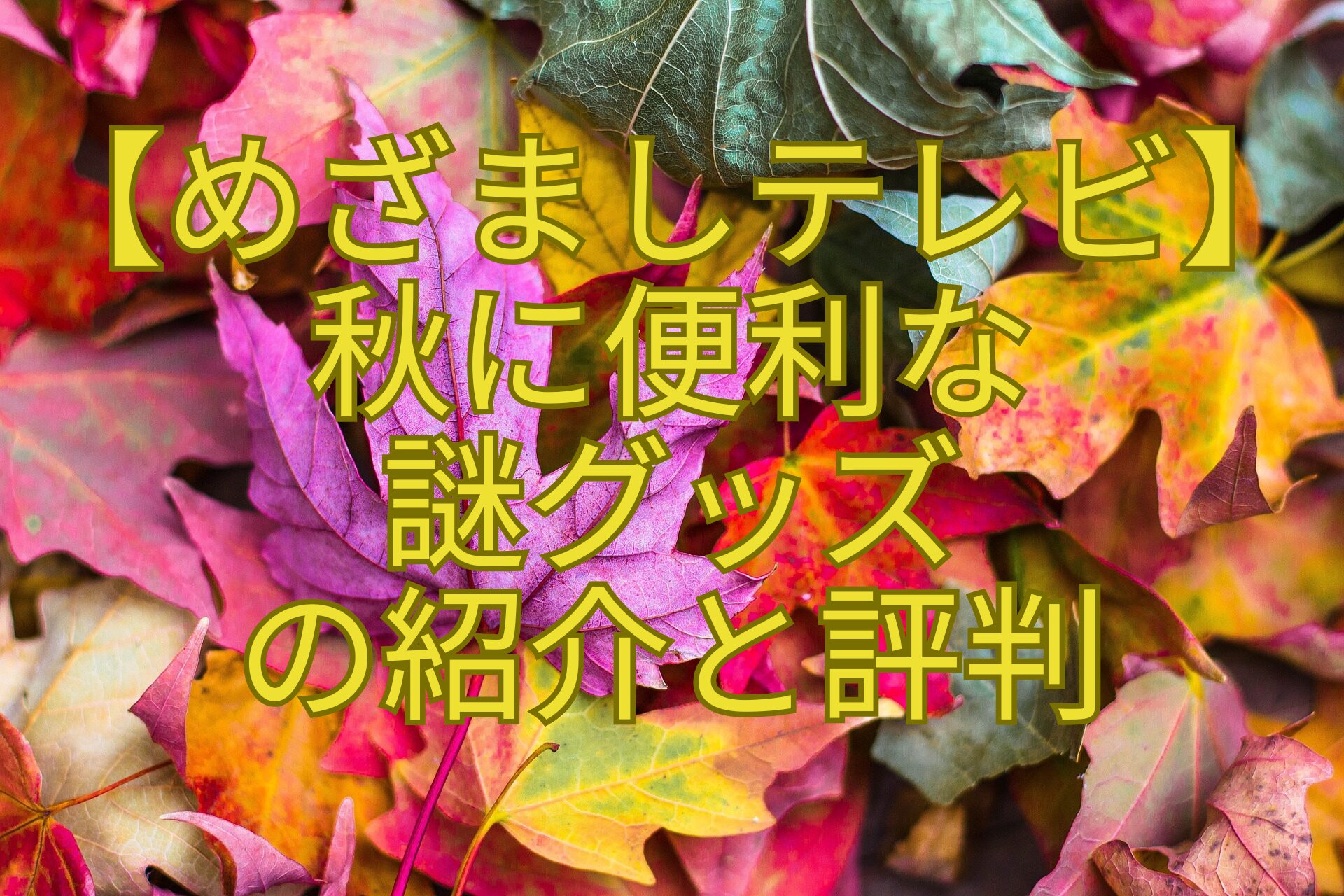 【めざましテレビ】秋に便利な謎グッズの紹介と評判