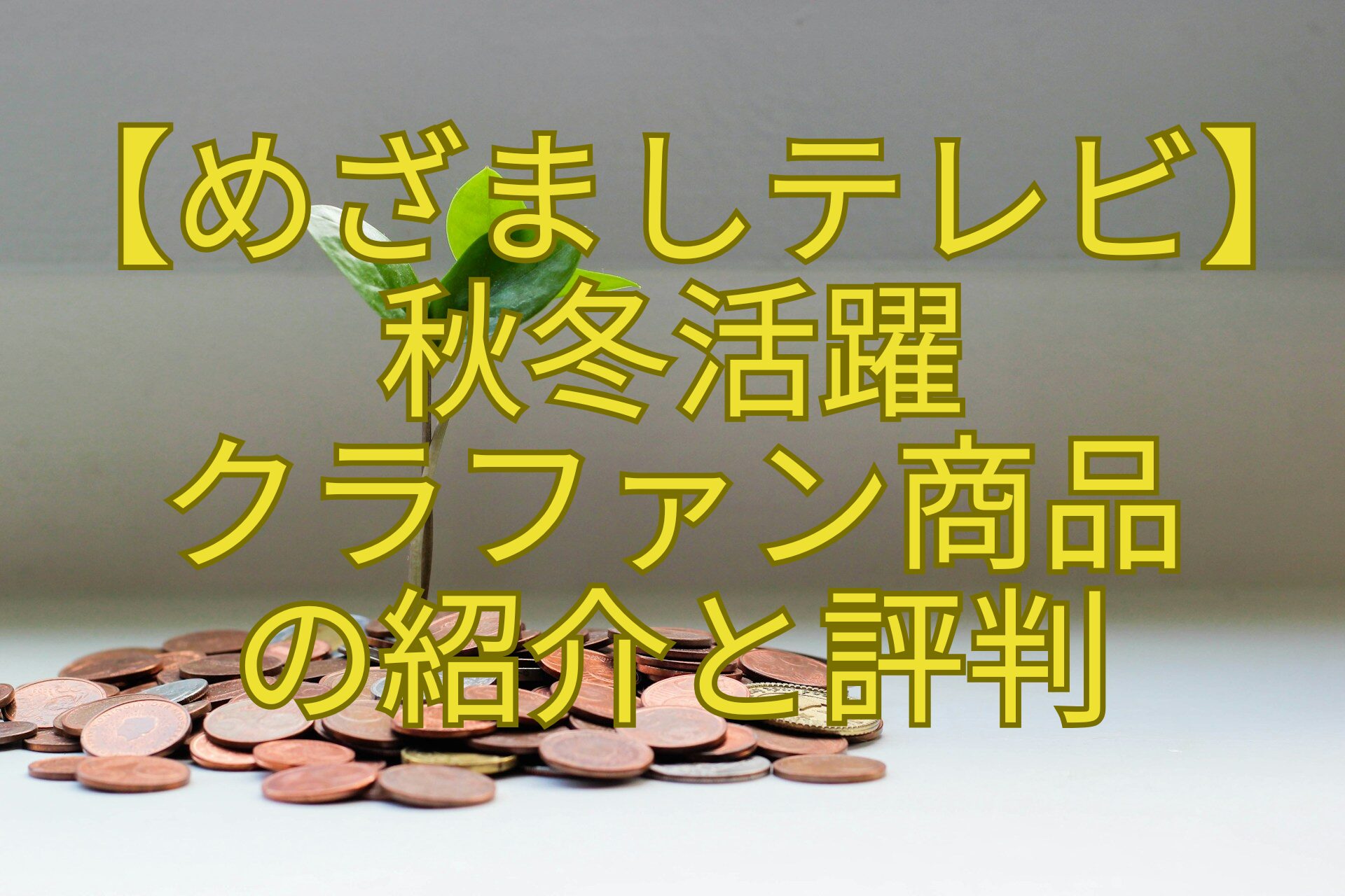 【めざましテレビ】秋冬活躍クラファン商品の紹介と評判