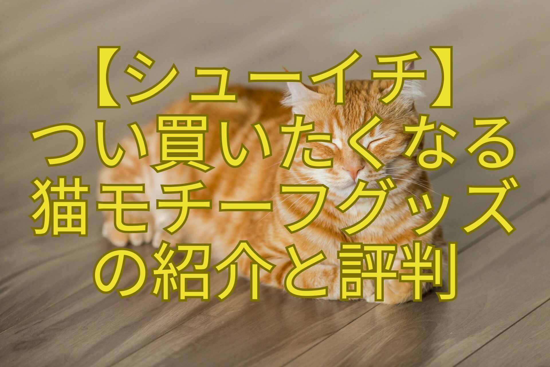 【シューイチ】-つい買いたくなる-猫モチーフグッズ-の紹介と評判