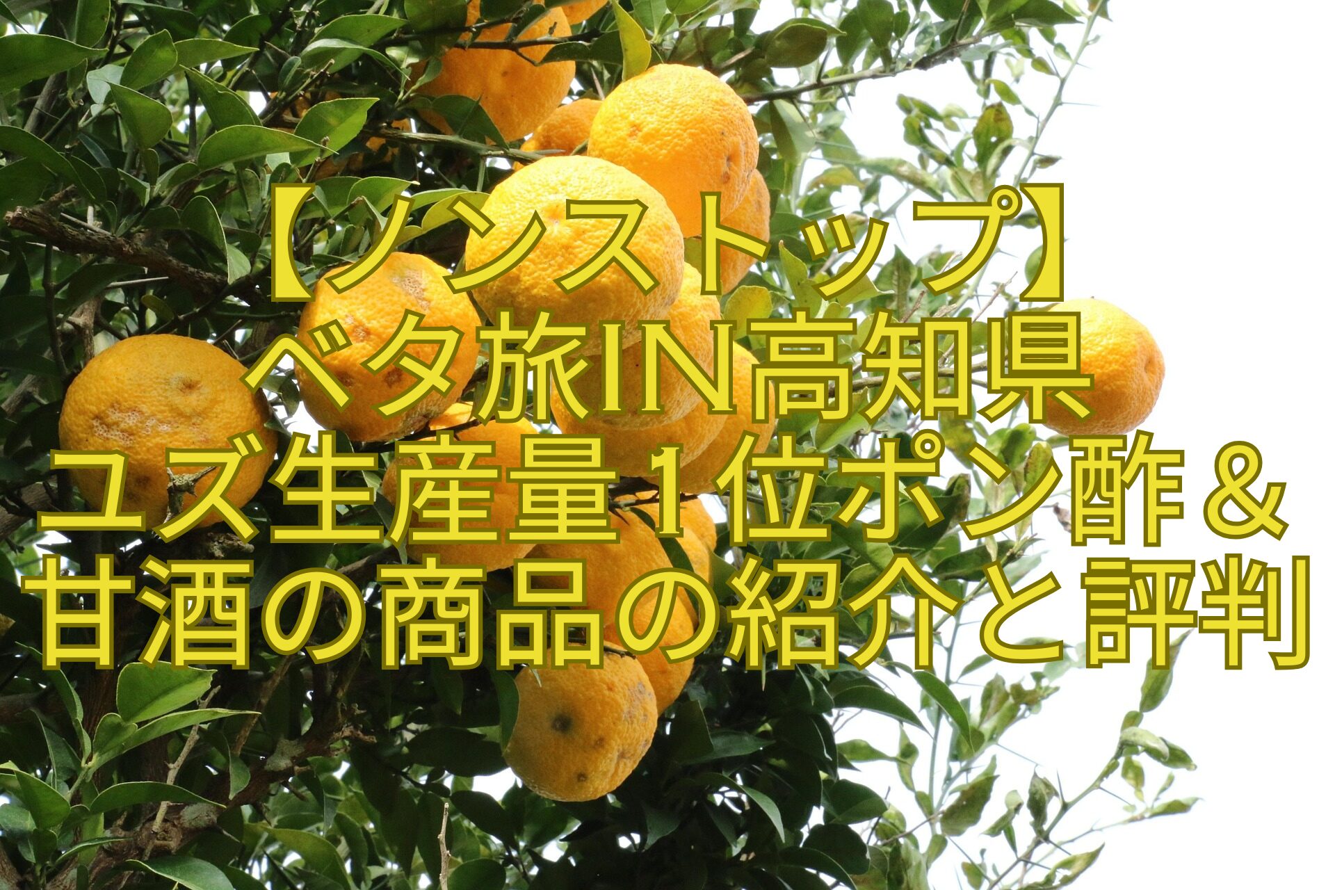 【ノンストップ】-ベタ旅in高知県-ユズ生産量1位ポン酢＆甘酒の商品の紹介と評判