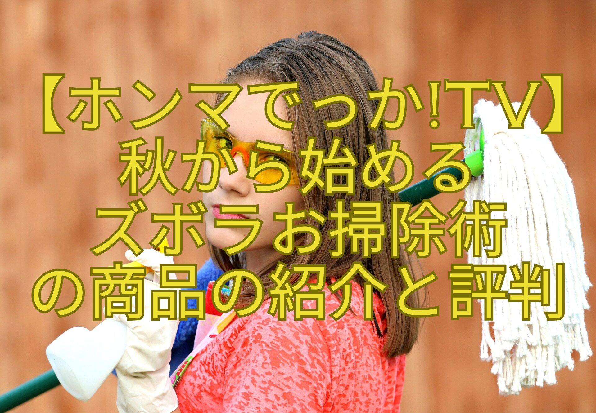 【ホンマでっかTV】-秋から始める-ズボラお掃除術-の商品の紹介と評判