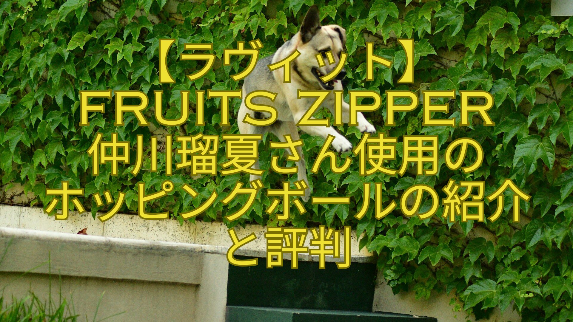 【ラヴィット】-FRUITS-ZIPPER-仲川瑠夏さん使用の-ホッピングボールの紹介-と評判