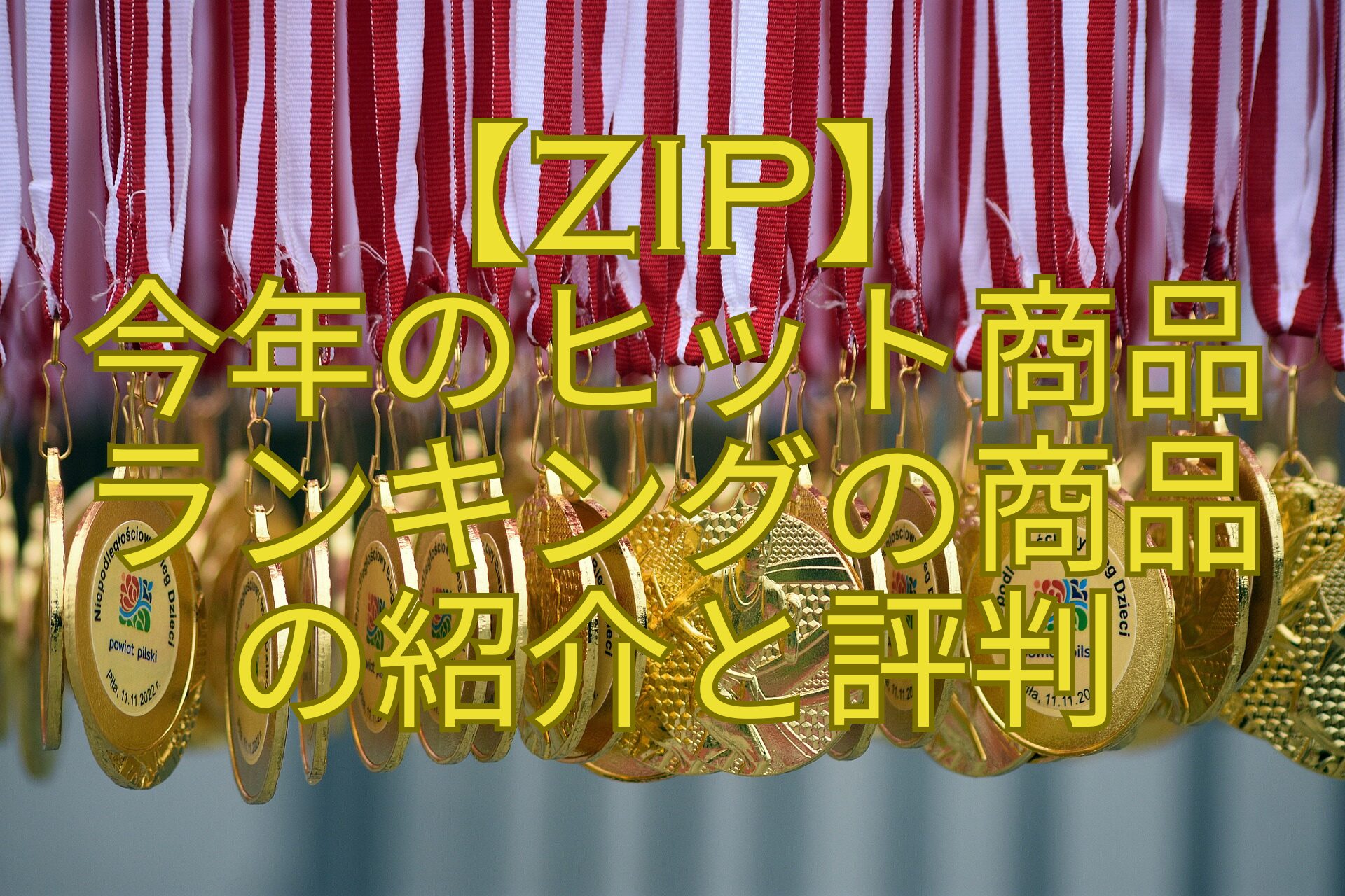 【ZIP】-今年のヒット商品-ランキングの商品-の紹介と評判