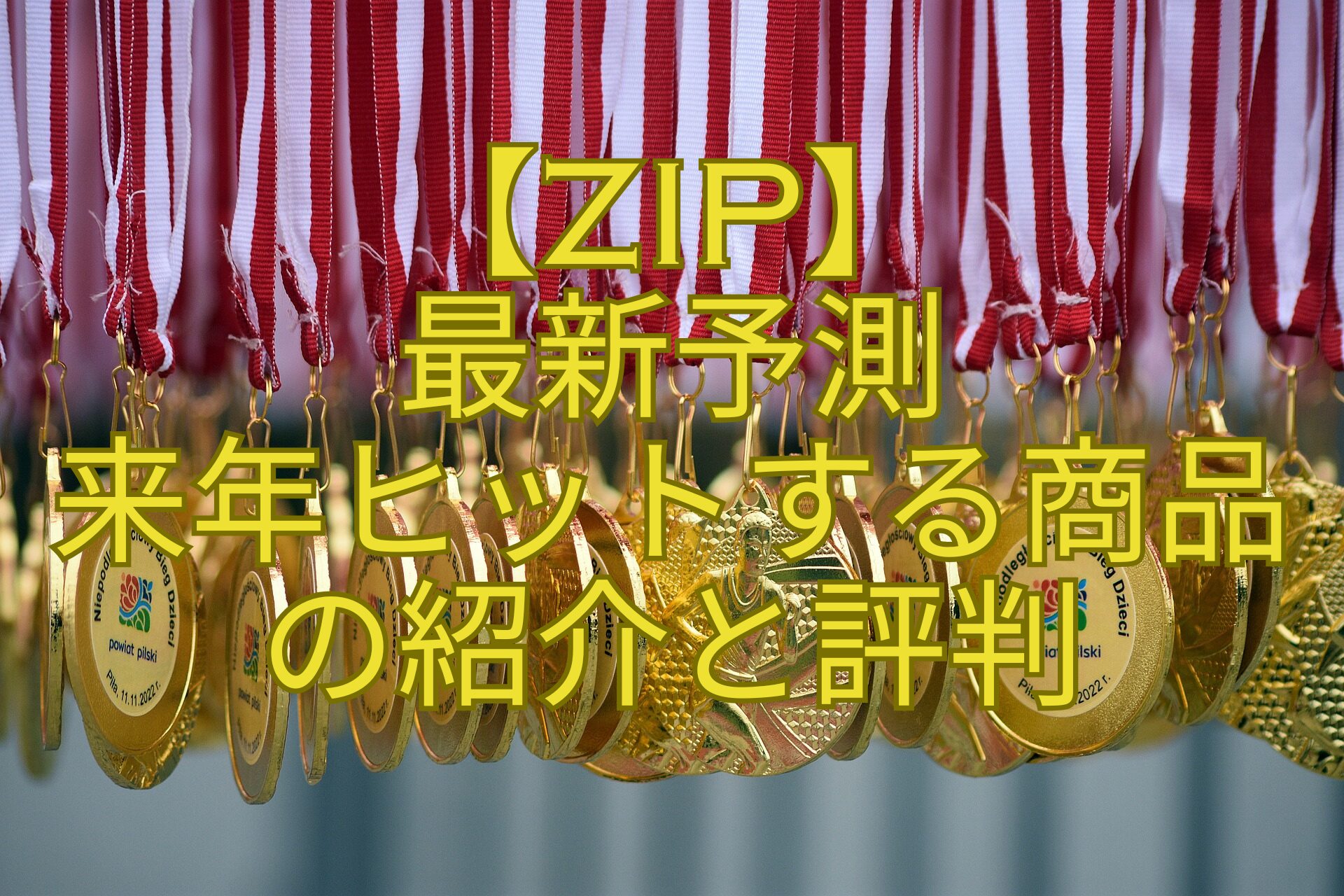 【ZIP】-最新予測-来年ヒットする商品-の紹介と評判