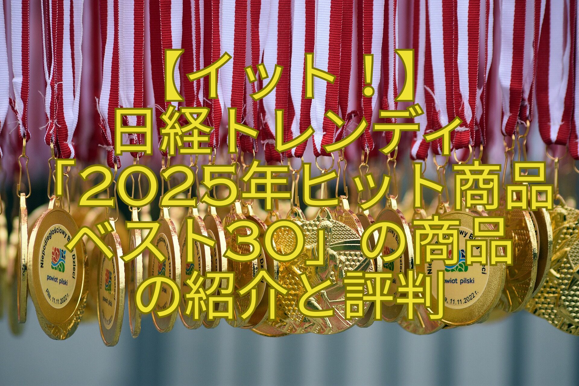 【イット！】-日経トレンディ-「2025年ヒット商品-ベスト30」の商品-の紹介と評判