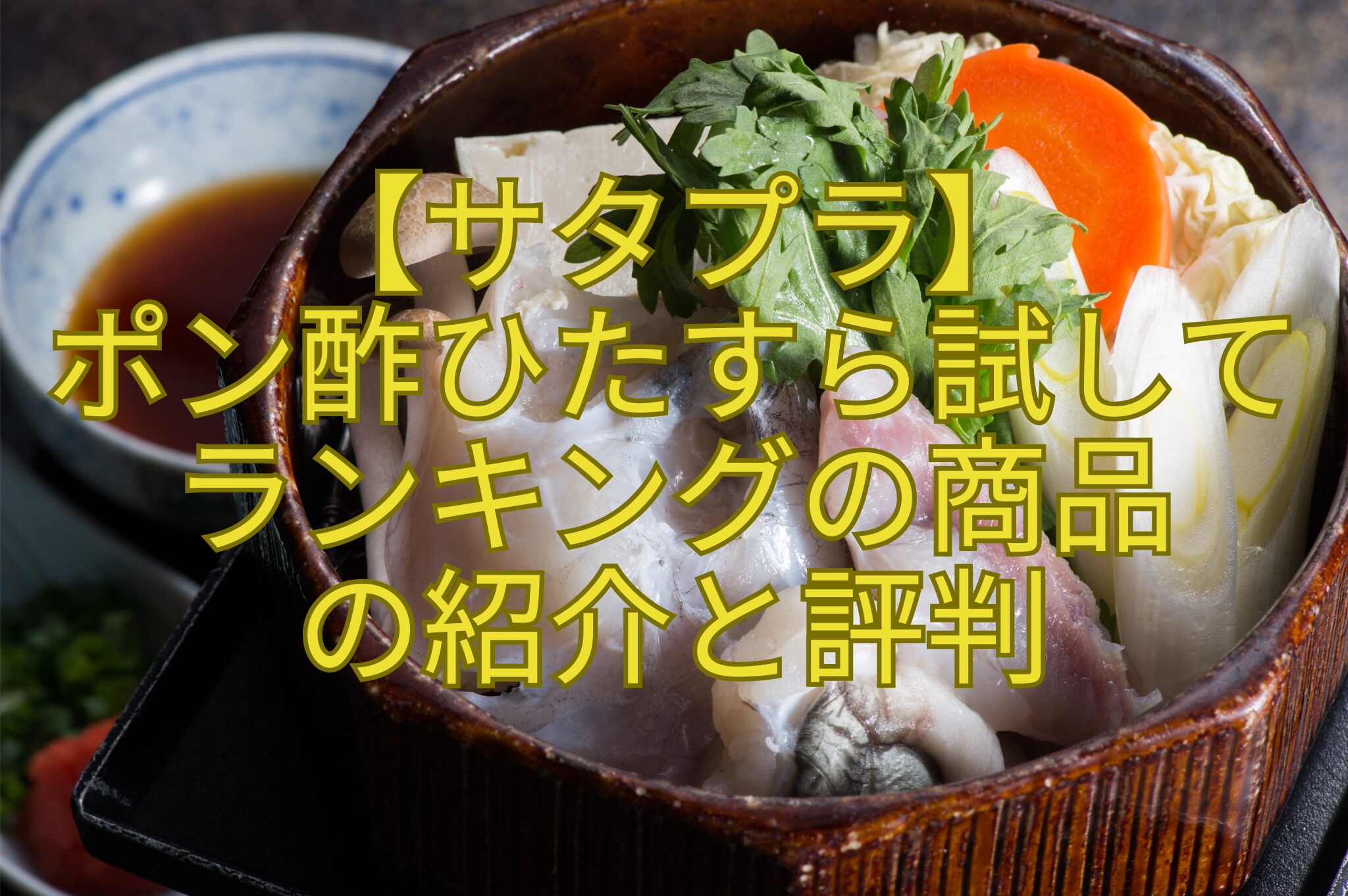 【サタプラ】-ポン酢ひたすら試して-ランキングの商品-の紹介と評判