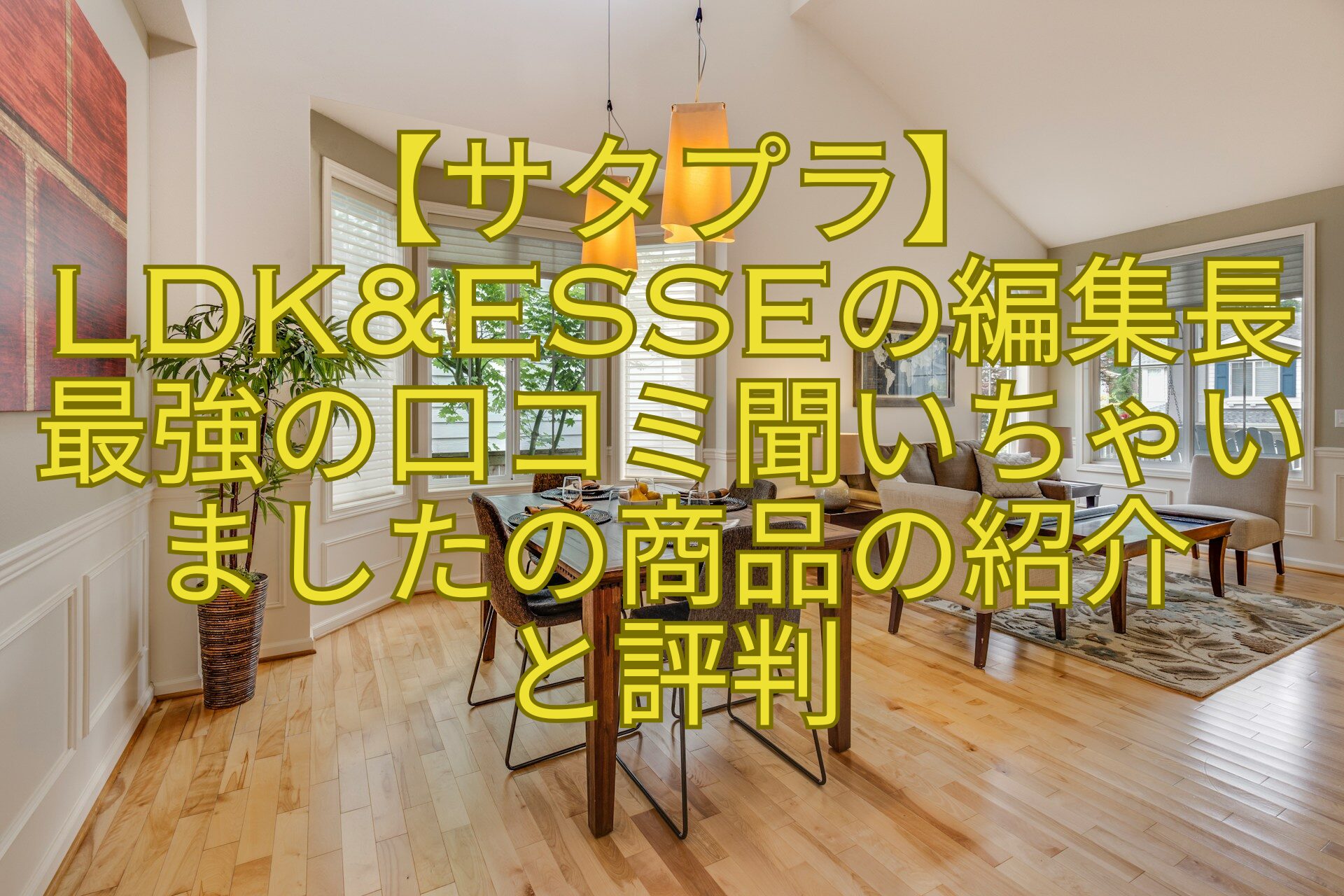 【サタプラ】LDKESSEの編集長最強の口コミ聞いちゃいましたの商品の紹介-と評判